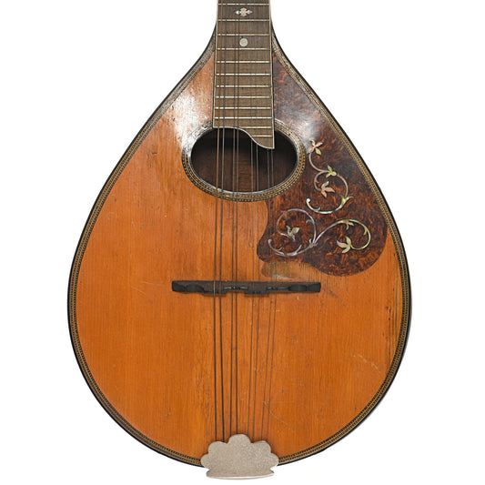 Front of Washburn G2424 A Model Mandolin (c.1921)