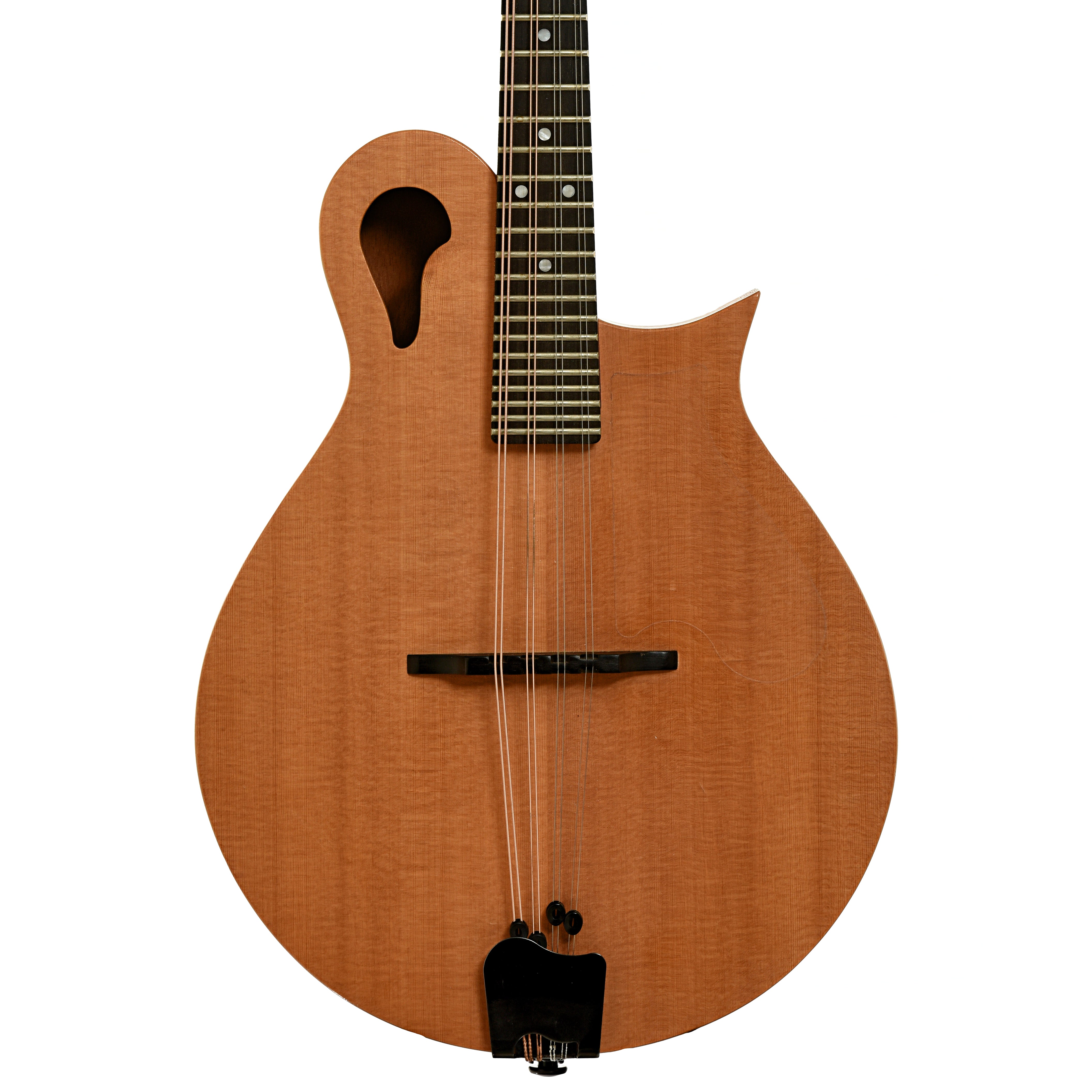 タコマ/Tacoma フラットマンドリン m-1 Tacoma M-1 Mandolin (1999) – Elderly Instruments