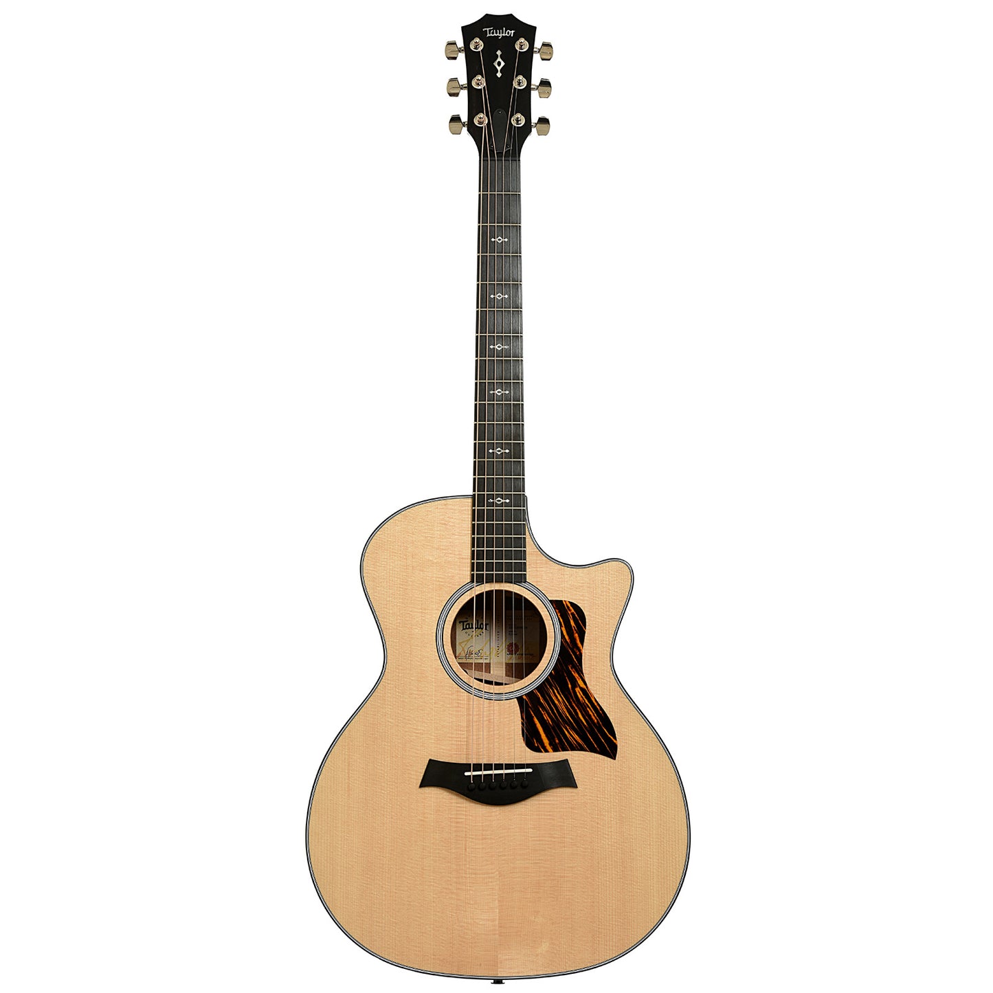 Full front of Taylor Next Generation 314ce Acoustic-Electric Guitar