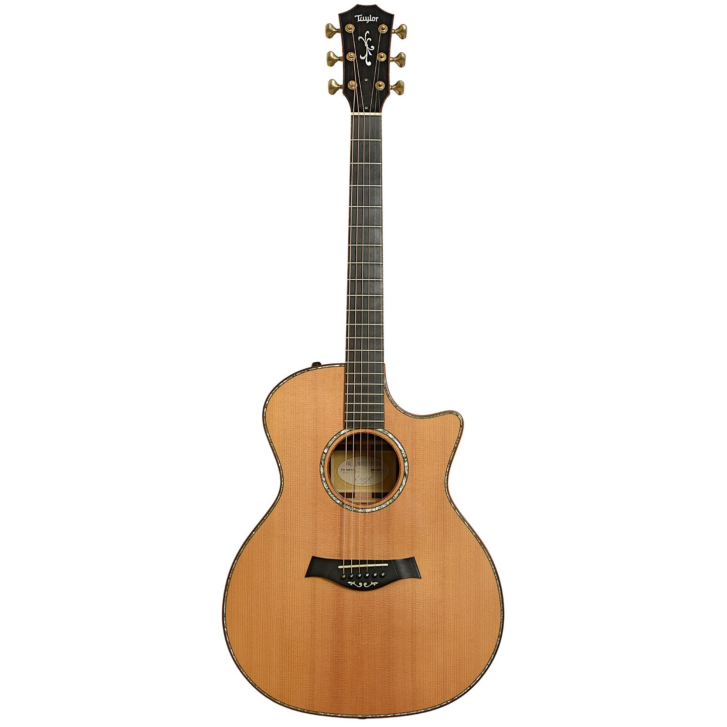 Full front of Taylor GA Cocobolo Fall Limited Edition Acoustic-Electric Guitar