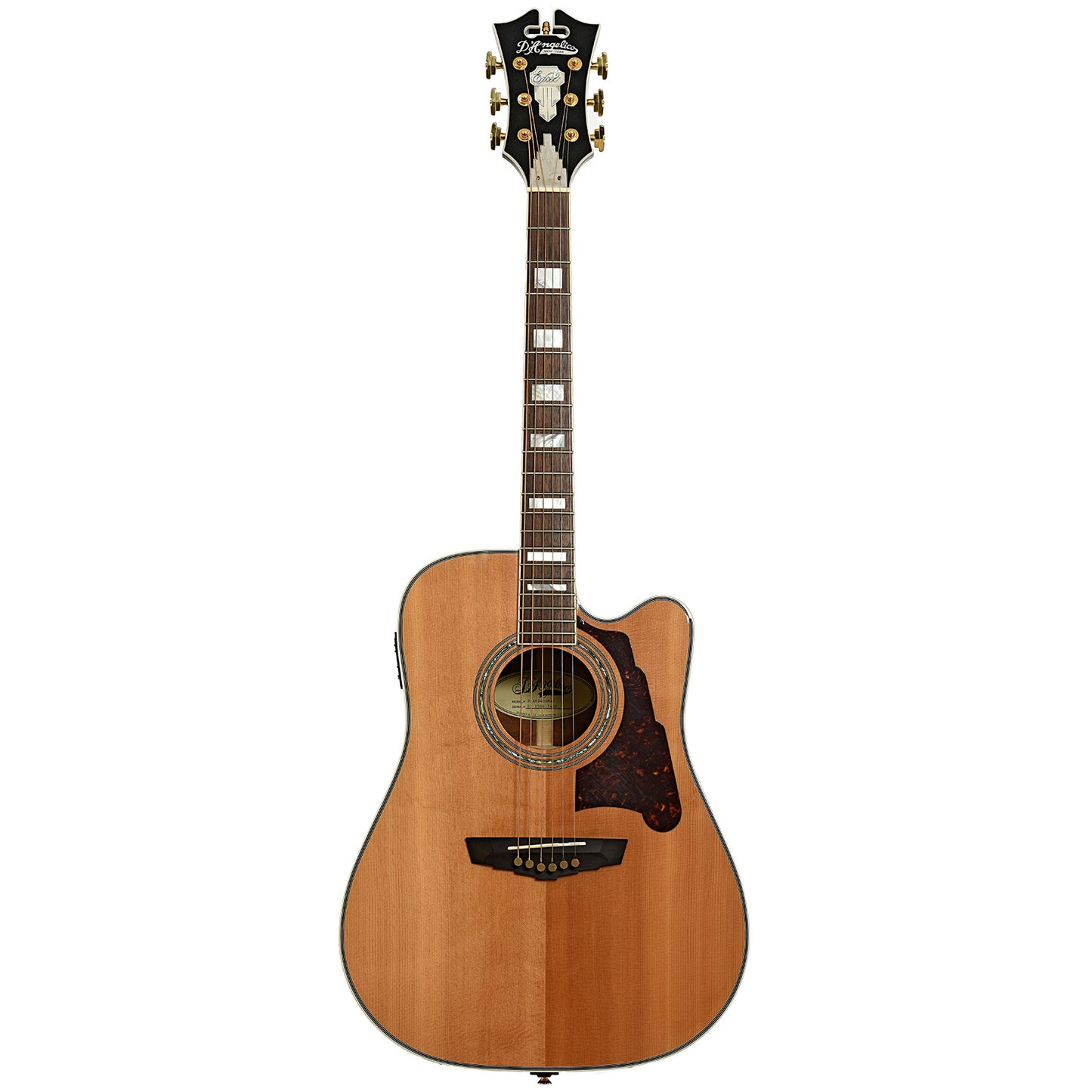 Full front of D'Angelico Brooklyn DAASD400 Natural Acoustic Guitar