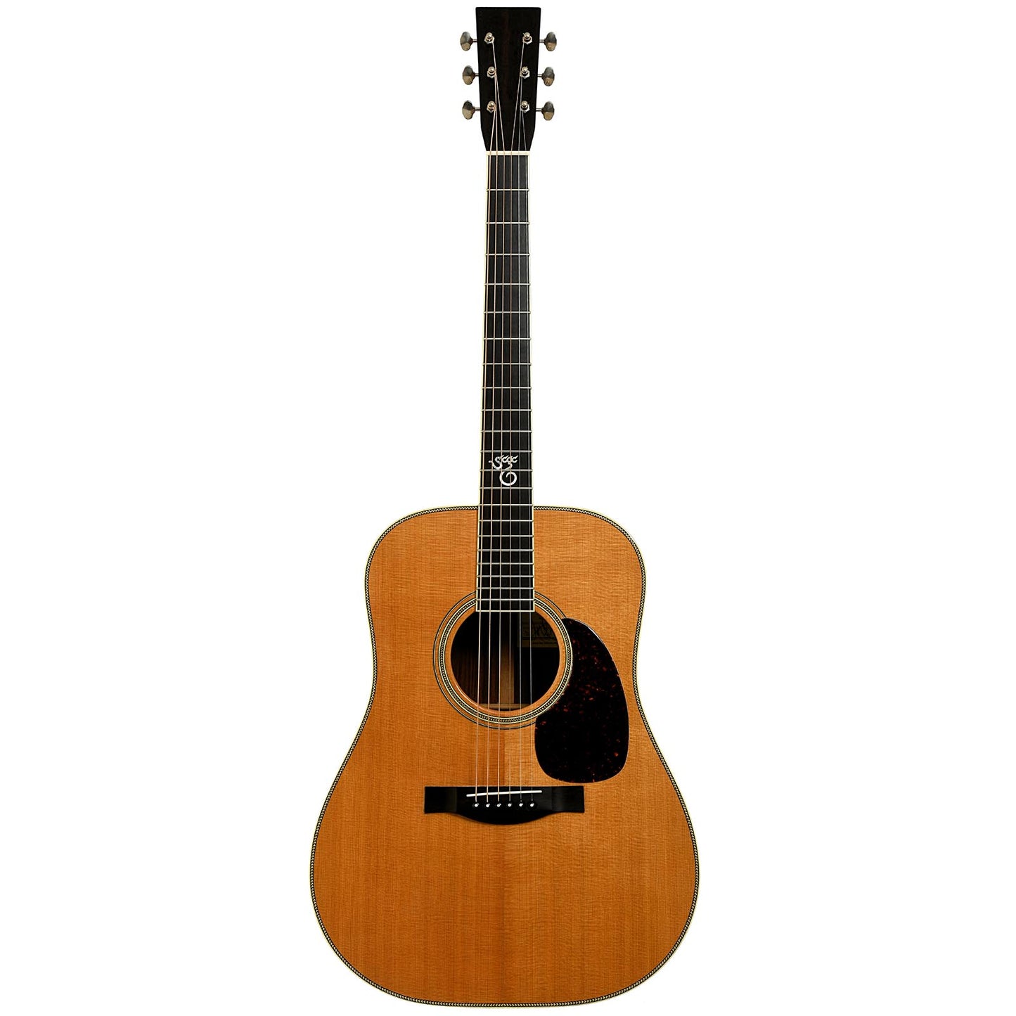 Full front of Santa Cruz D Acoustic Guitar