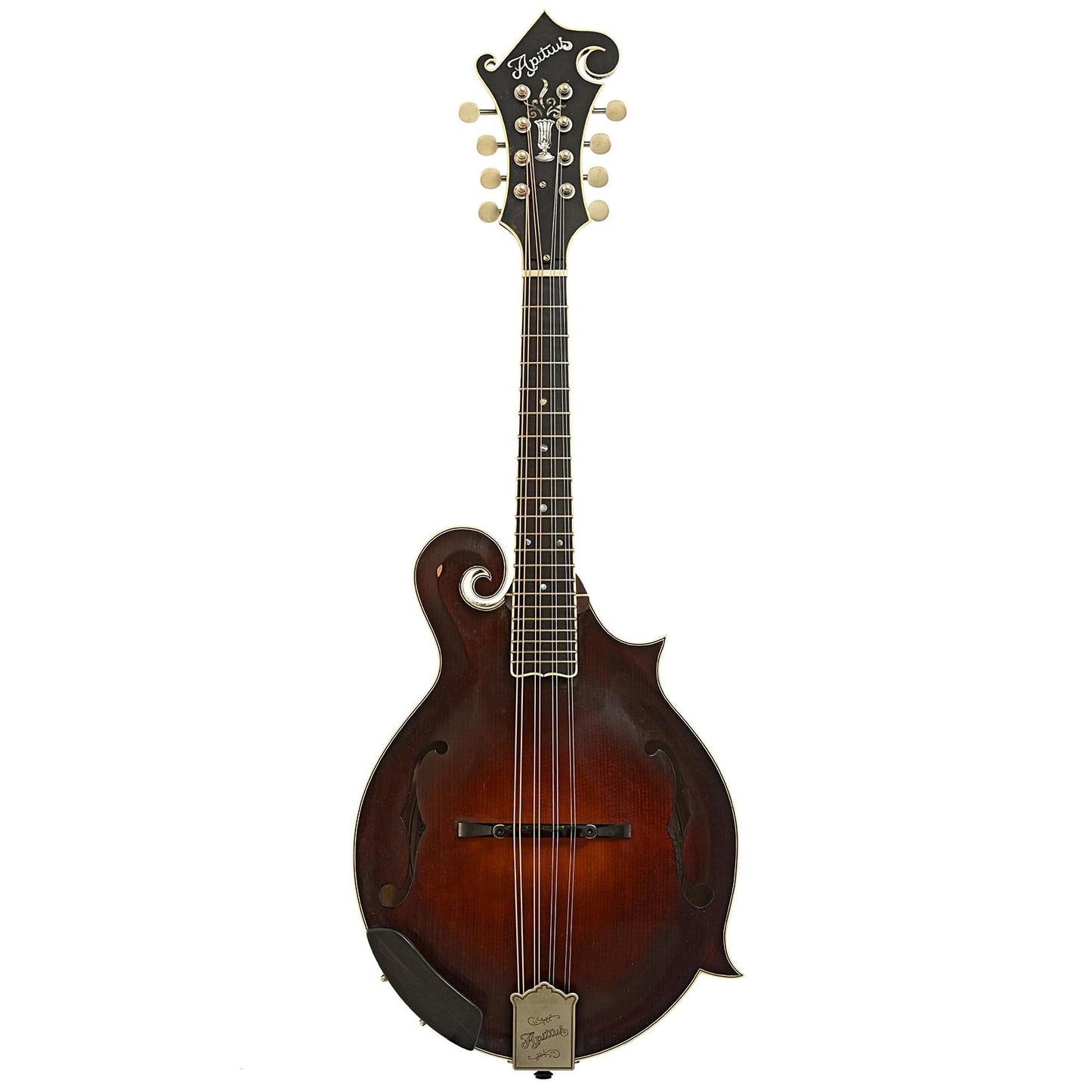 Full front of Apitius Custom Vanguard F-Style Mandolin