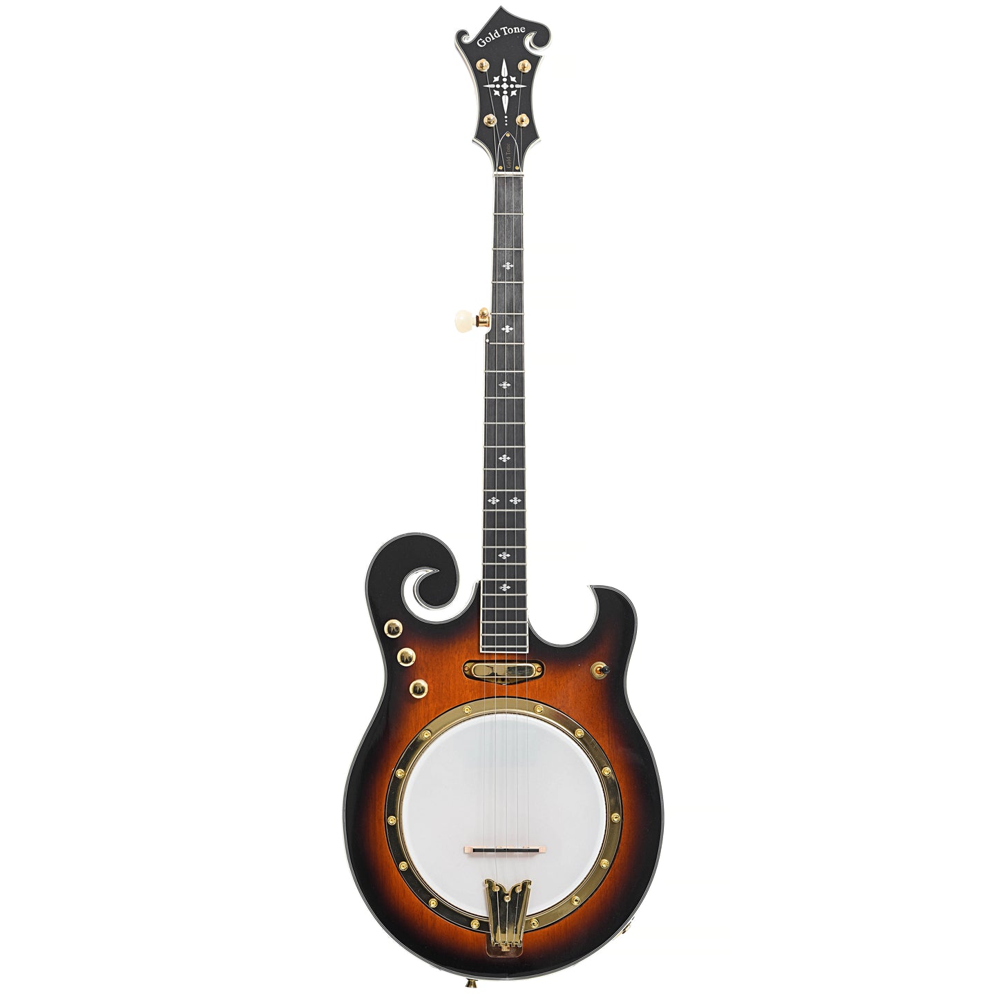 Full front of Gold Tone EBM-5 Electric 5-String Banjo (recent)