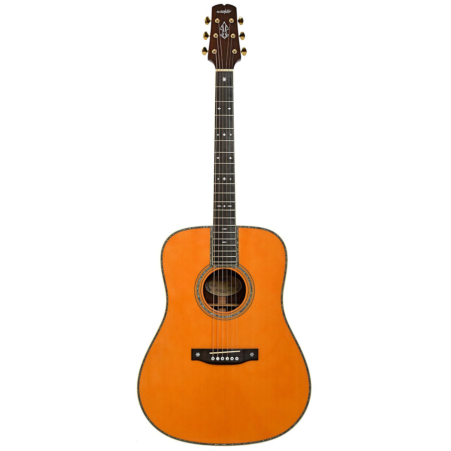 Full front of Wechter DN-8142 Dreadnought Acoustic Guitar