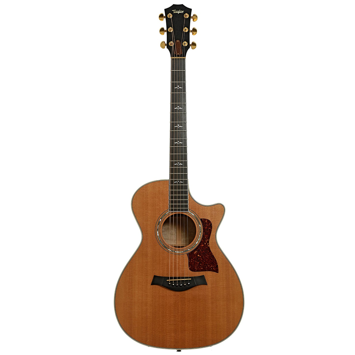 Full front of Taylor 612-C Acoustic Guitar