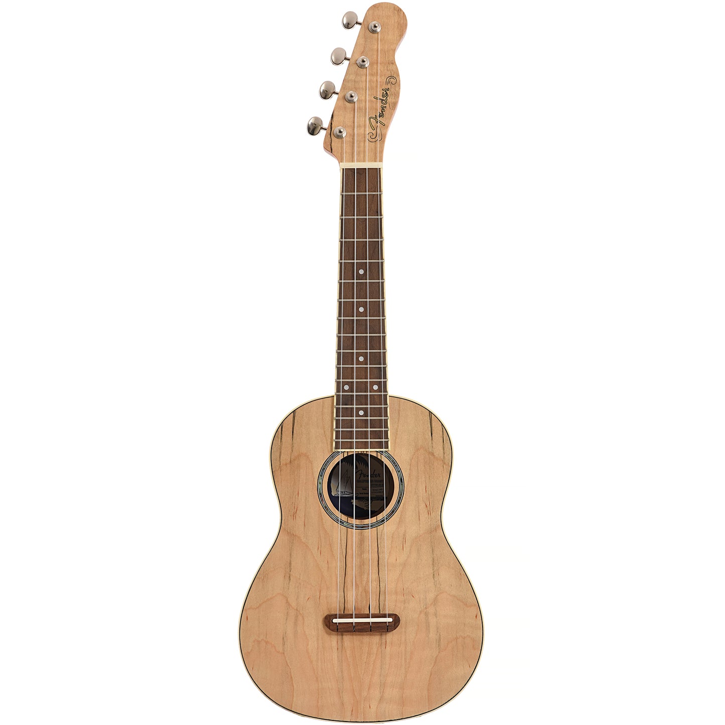 Full front of Fender Zuma Exotic Concert Ukulele, Spalted Maple