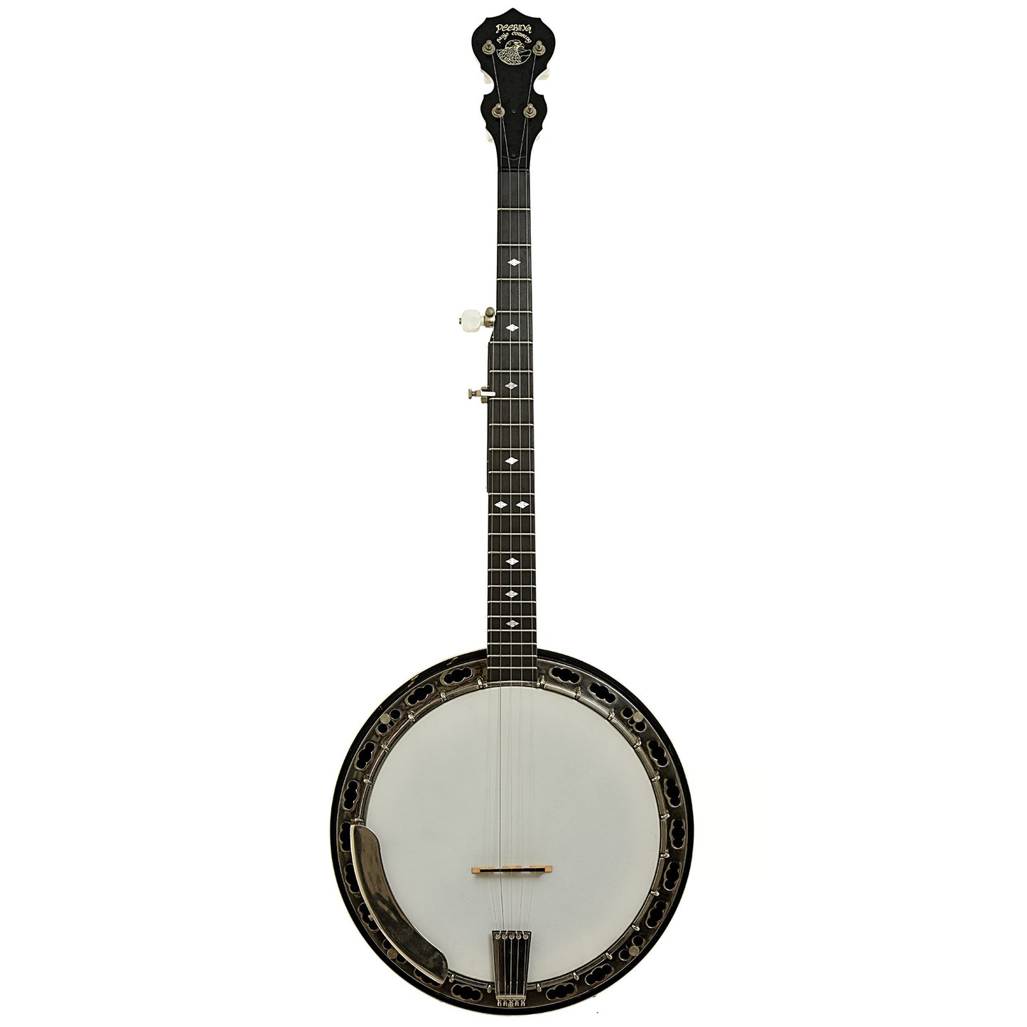 Full front of Deering Deluxe Resonator Banjo