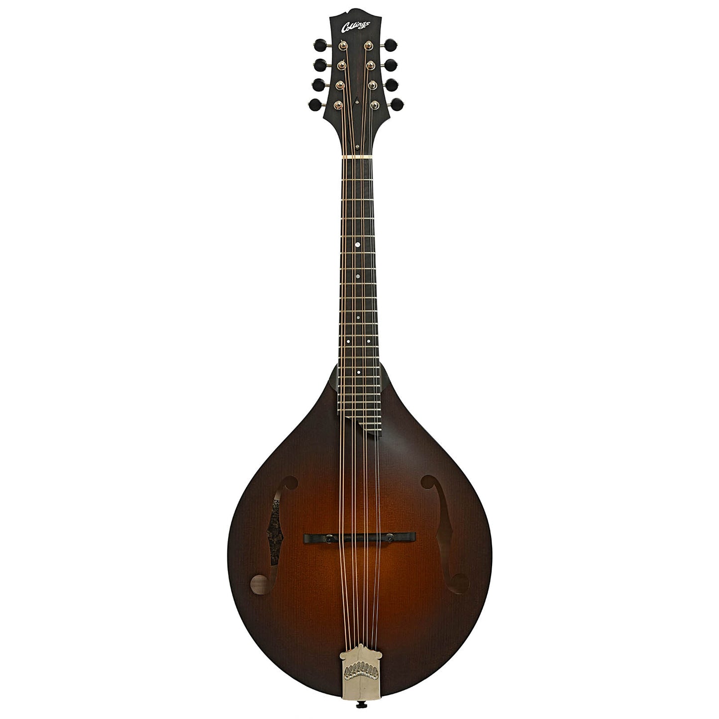 Full front of Collings MT Mandola