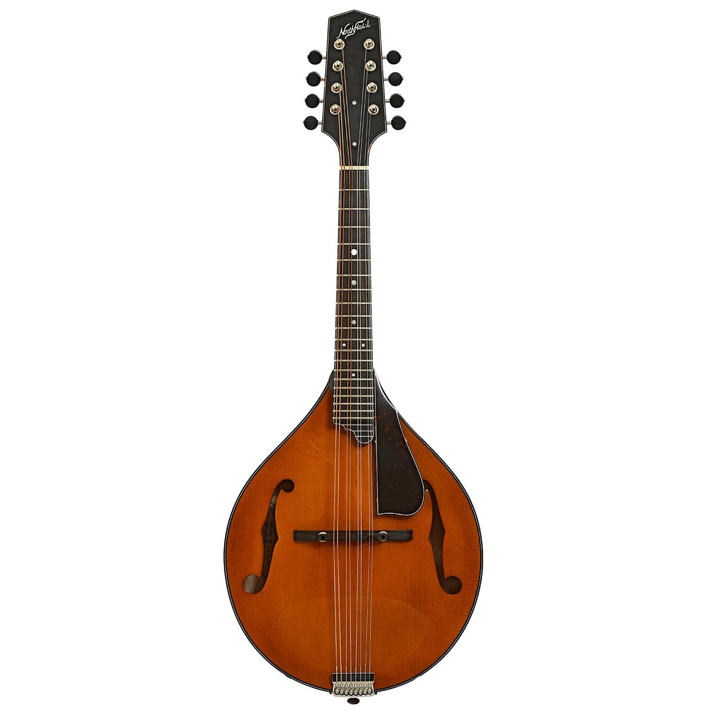 Full front of Northfield Workshop NFMSP-A5 A5 Special Mandolin, Amber Top