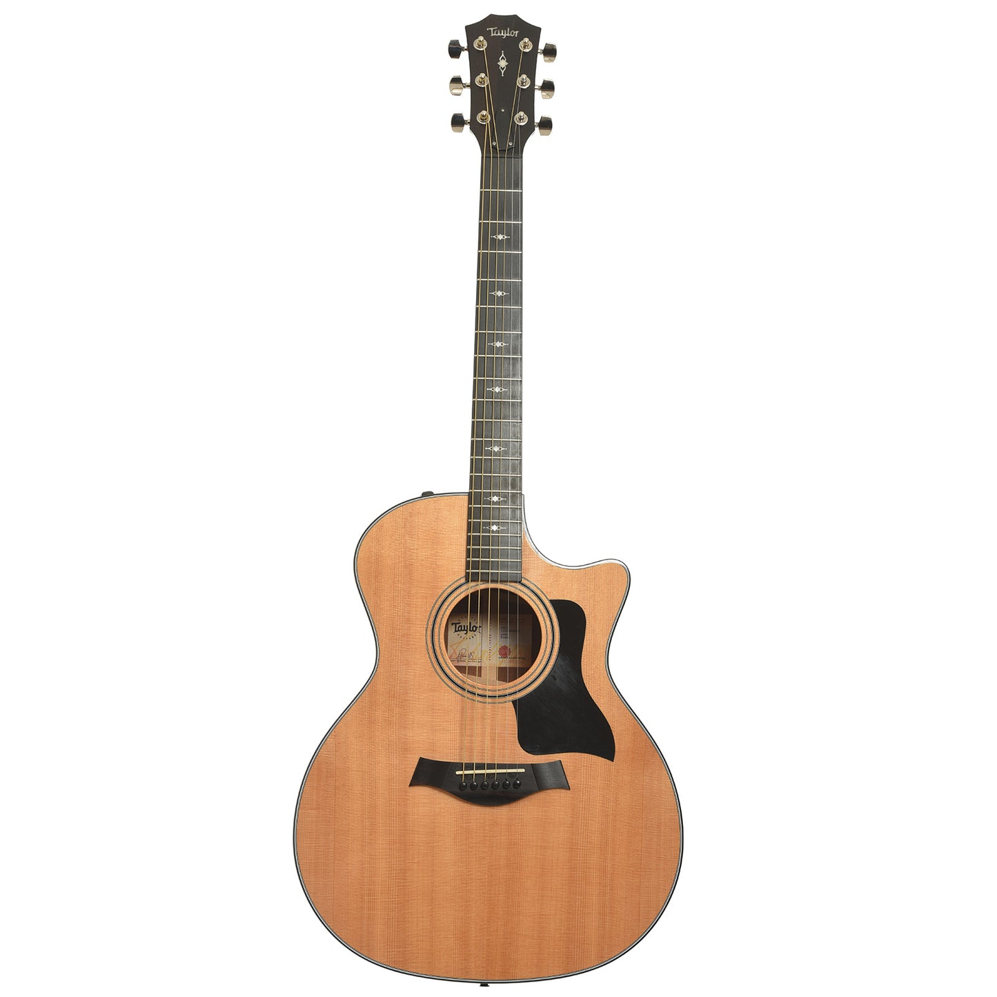 Full front of Taylor 314ce Acoustic-Electric Guitar