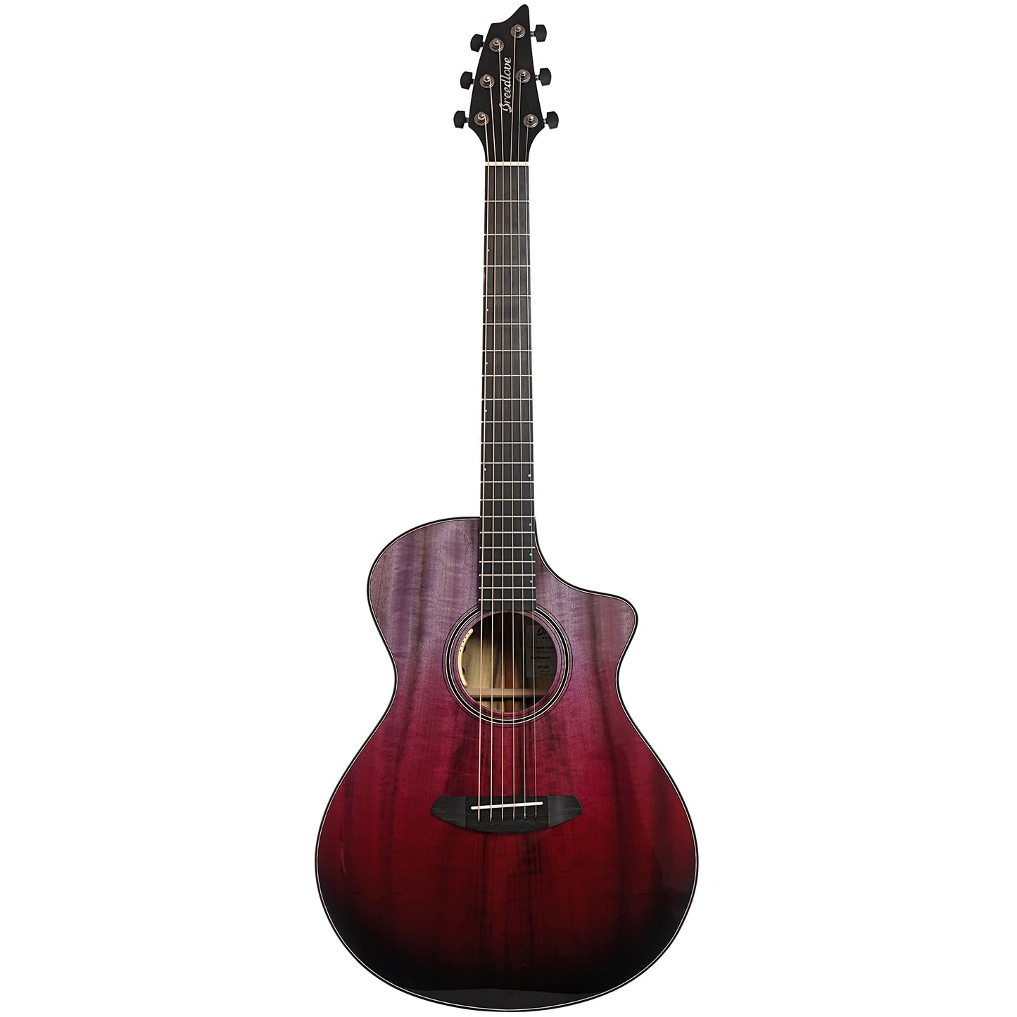 Full front of Breedlove Oregon Concert Pinot CE Myrtlewood-Myrtlewood LTD
