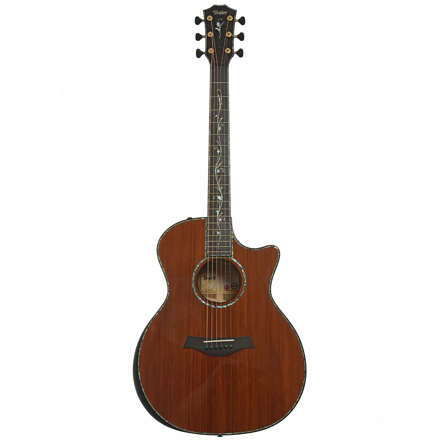 Full front of Taylor Custom Shop C14ce B5003 "Canela" Guitar