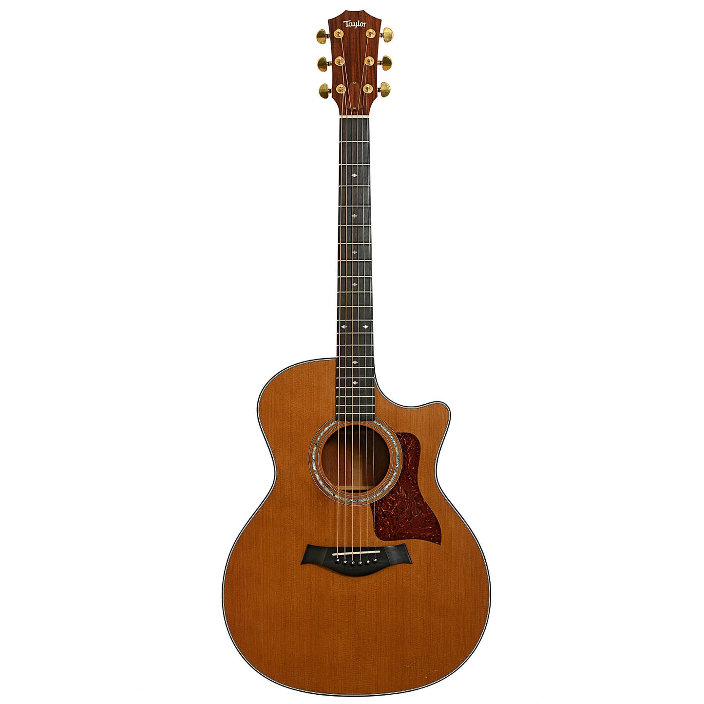 Full front of Taylor 514-C Acoustic Guitar