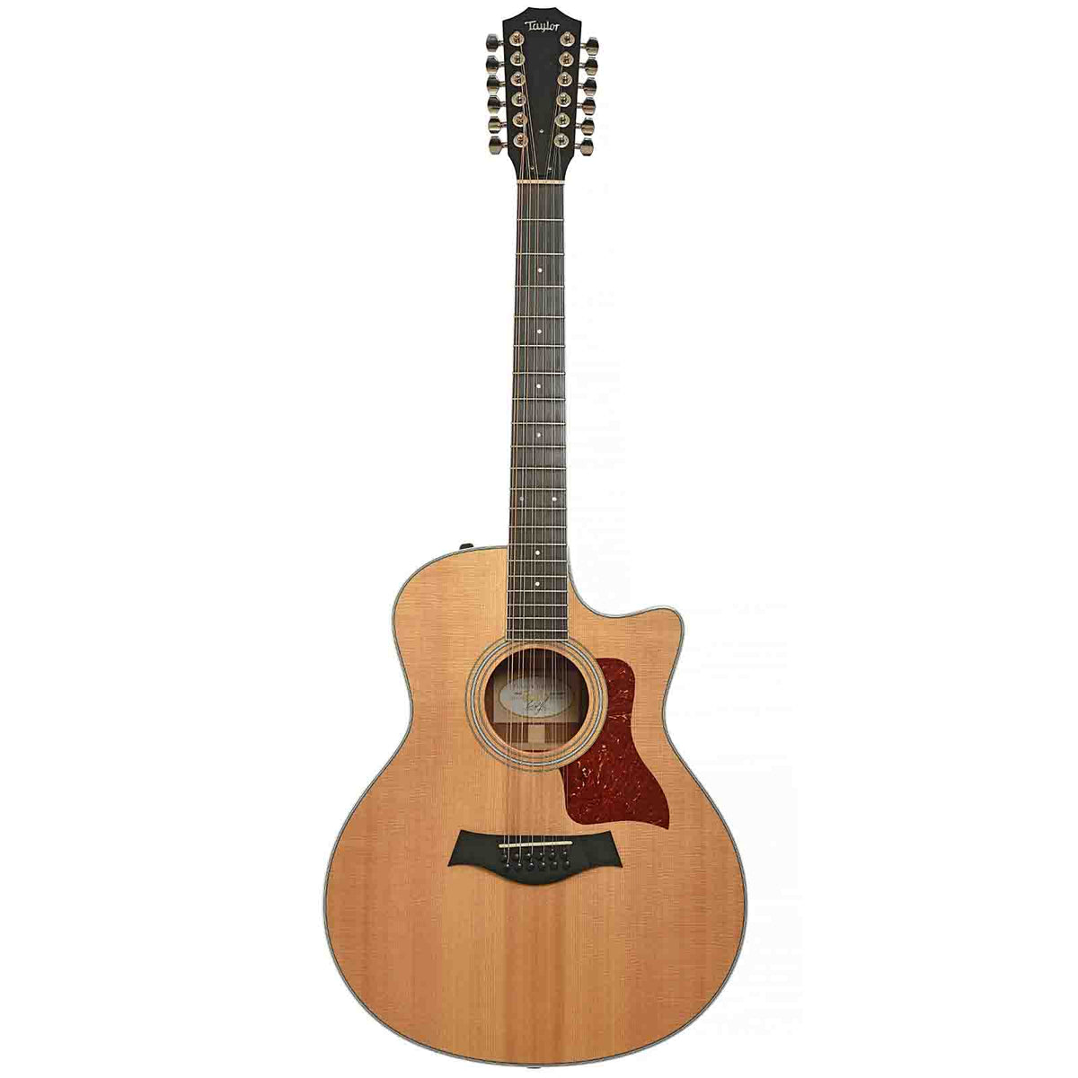 Full Front of Taylor 456CE