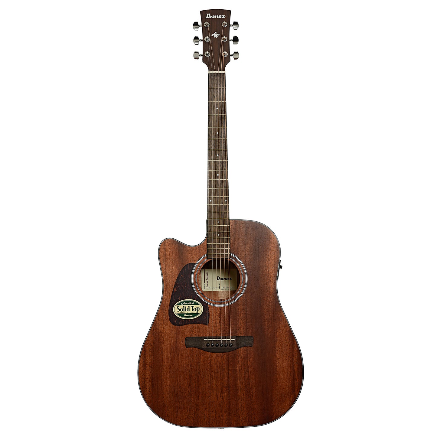 Full front of Ibanez AW54LCE Artwood Left-Handed Dreadnought Acoustic-Electric, Open Pore Natural