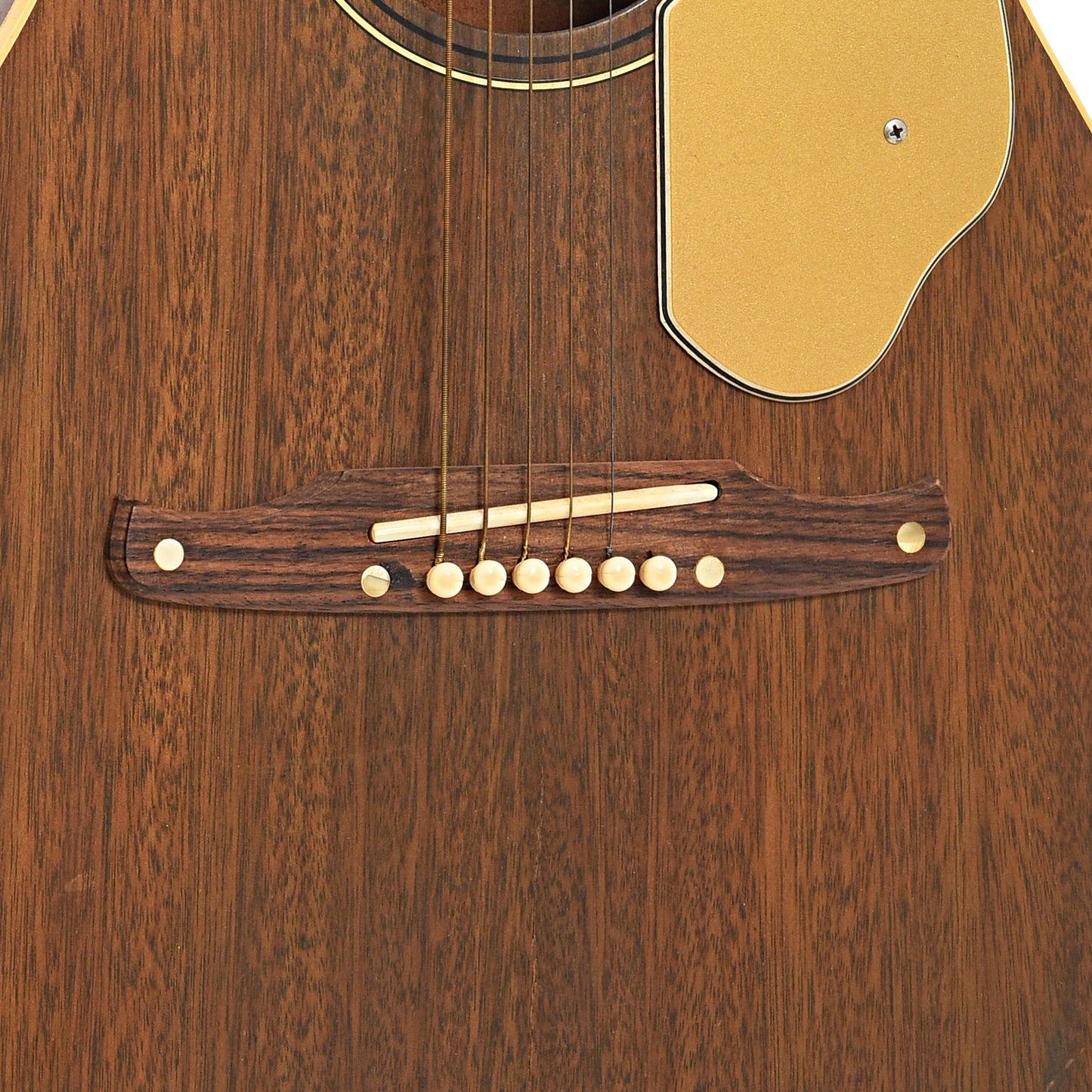 Bridge of Fender Newporter Acoustic Guitar 