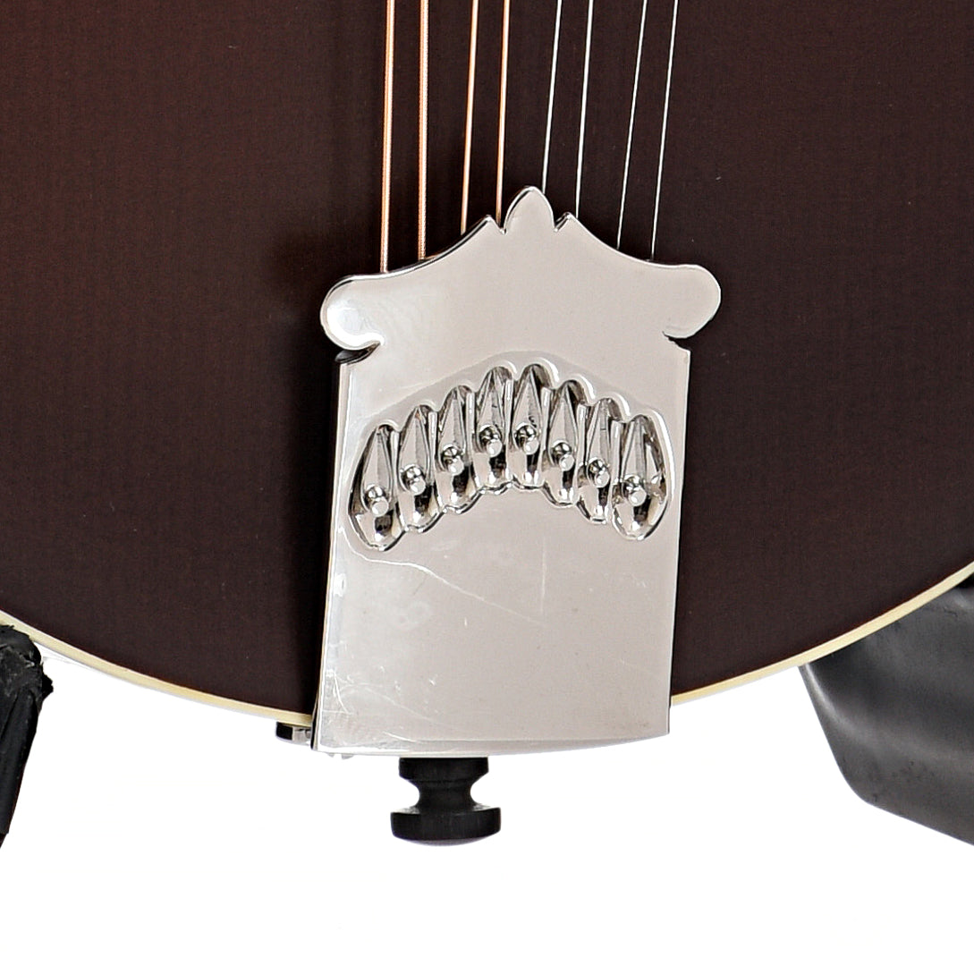 Tailpiece of Collings MF F-Model Mandolin Sheraton Brown, Ivoroid Binding
