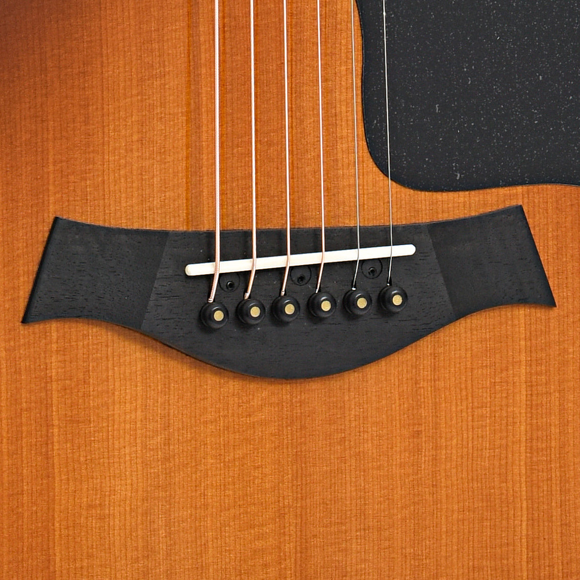Bridge of Taylor 50th Anniversary 217e-SB Plus LTD Acoustic Guitar 