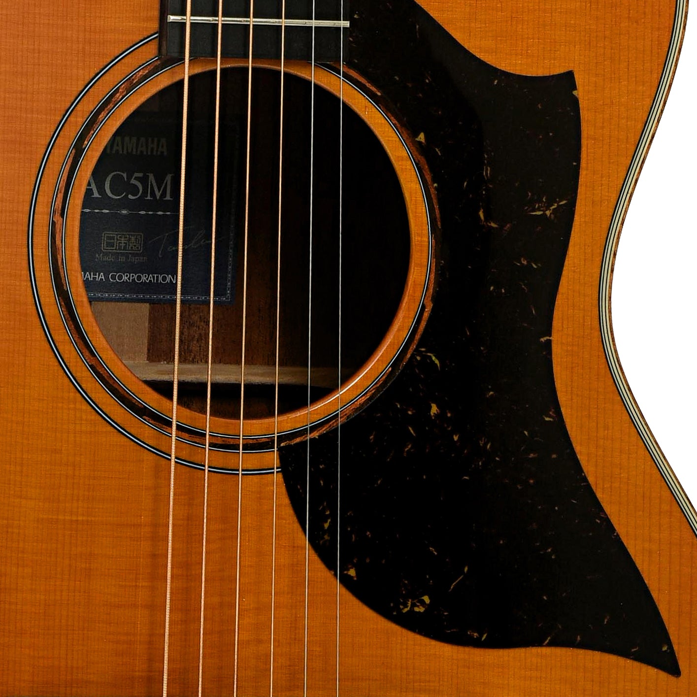 Soundhole of Yamaha AC5M ARE Concert Cutaway Acoustic-Electric Guitar