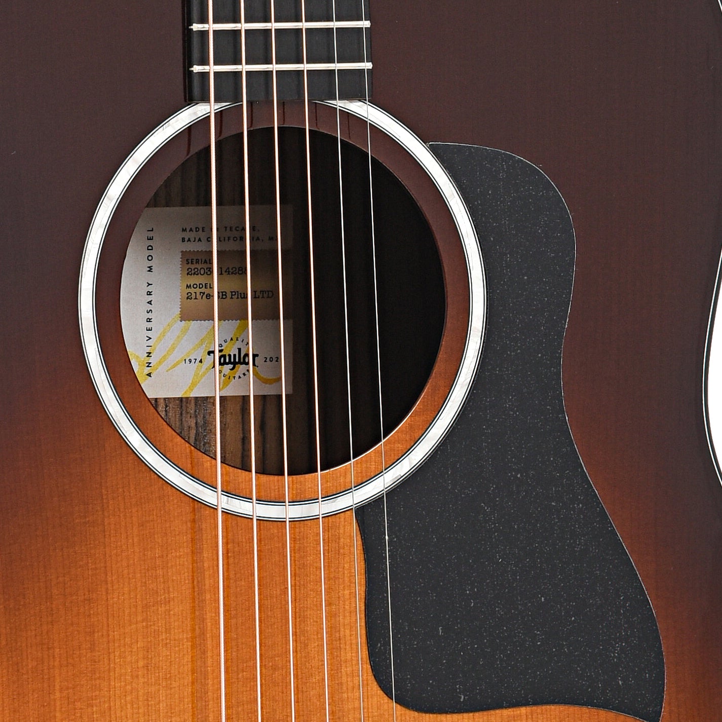 Sound hole of Taylor 50th Anniversary 217e-SB Plus LTD Acoustic Guitar 