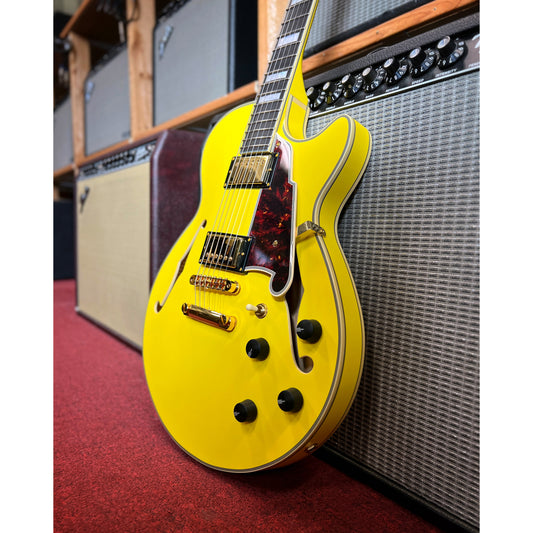 Showroom photo of D'Angelico DLX-SSSP Hollow Body Electric Guitar (c.2017)