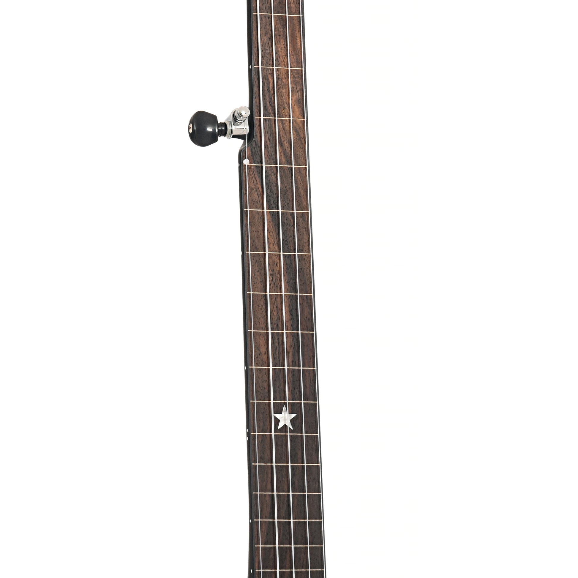 Fretboard of Gold Tone AC-12FL 12" Fretless Openback Banjo 