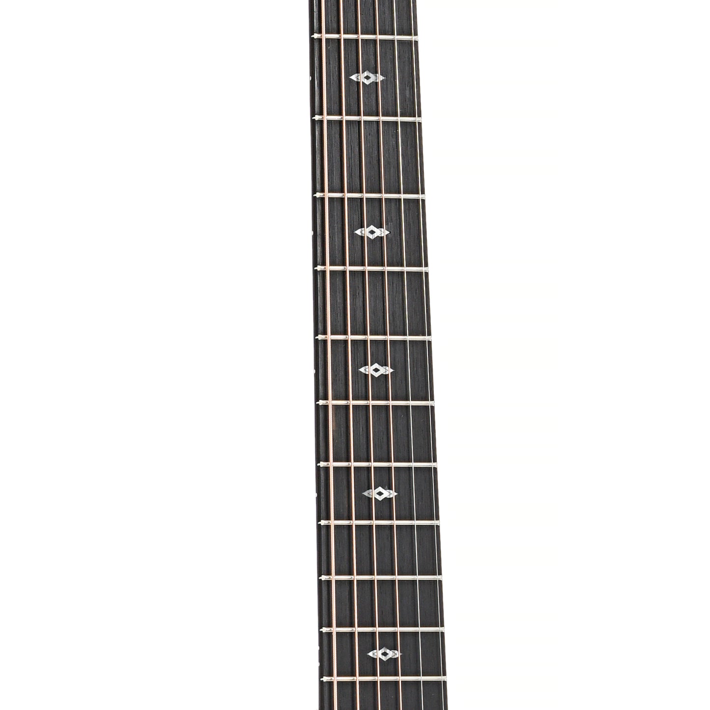 Fretboard of Taylor 50th Anniversary 217e-SB Plus LTD Acoustic Guitar 