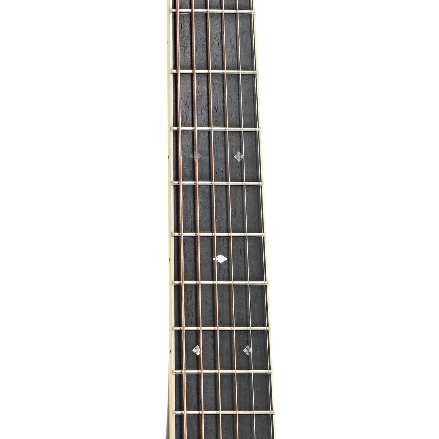 Fretboard of Santa Cruz Custom PJ Acoustic Guitar 
