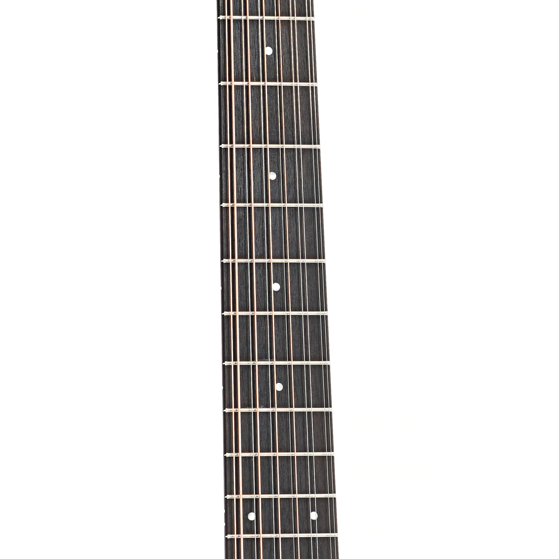 Fretboard of Taylor 150ce 12-String Acoustic Guitar 