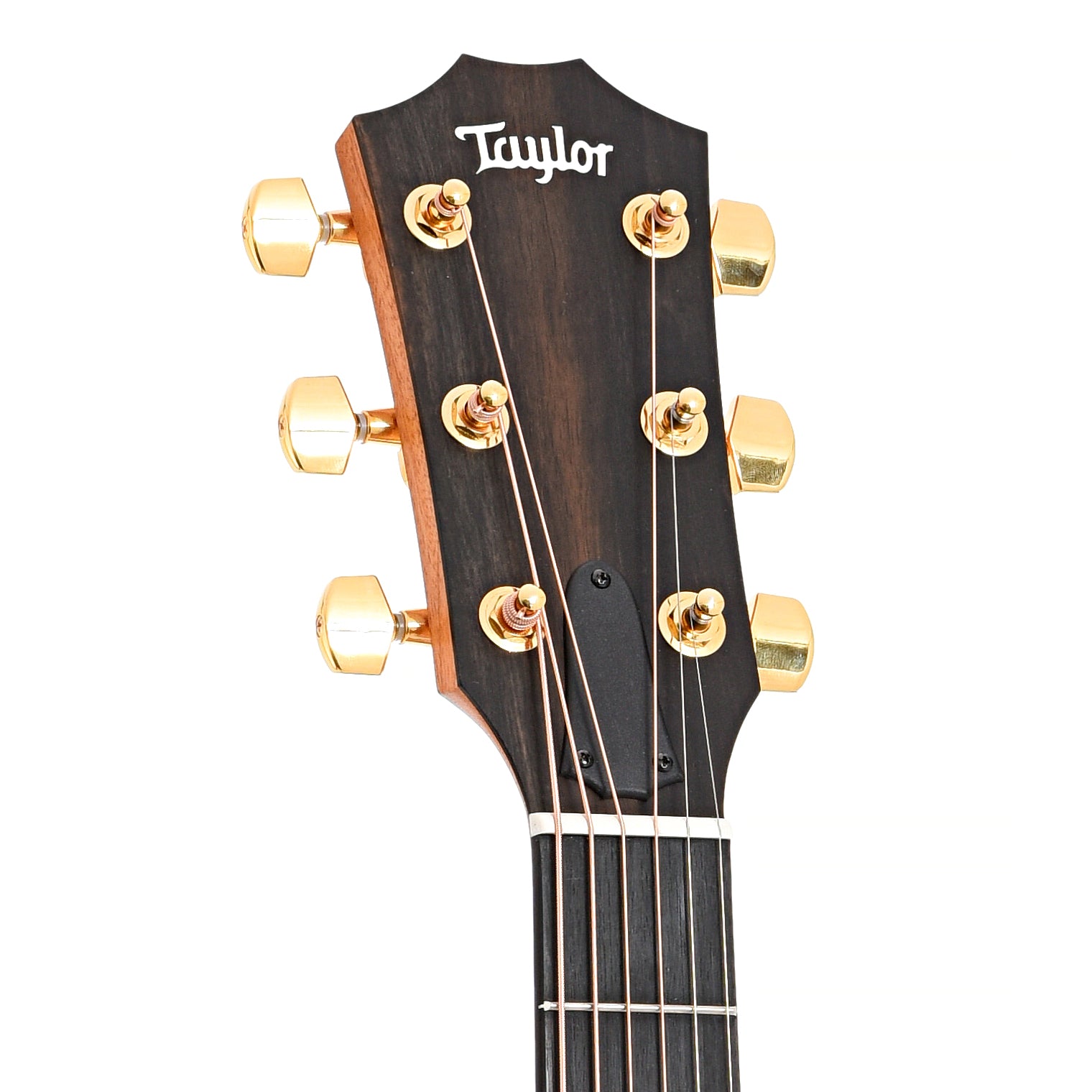 Front headstock of Taylor 50th Anniversary 217e-SB Plus LTD Acoustic Guitar 
