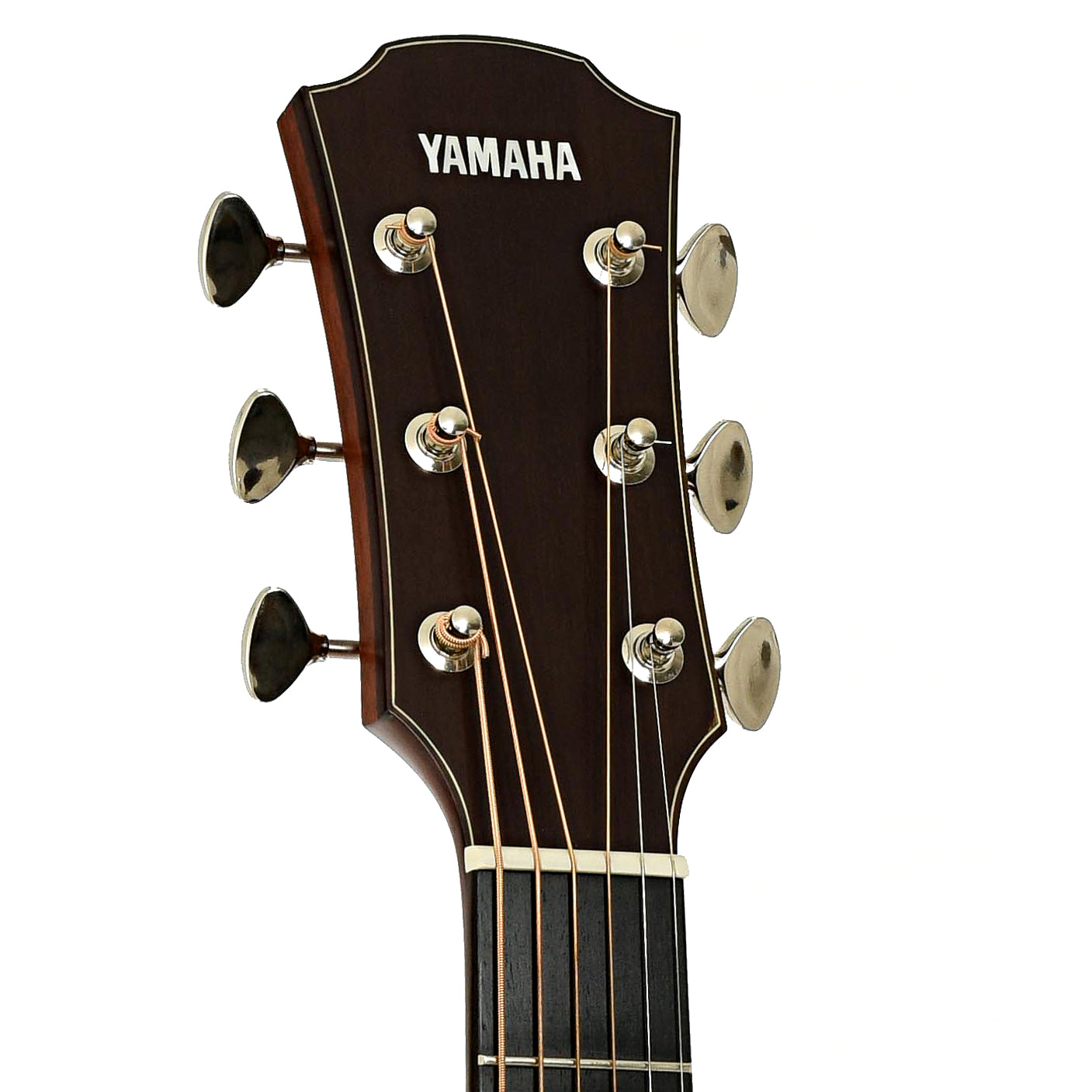 Headstock of Yamaha AC5M ARE Concert Cutaway Acoustic-Electric Guitar