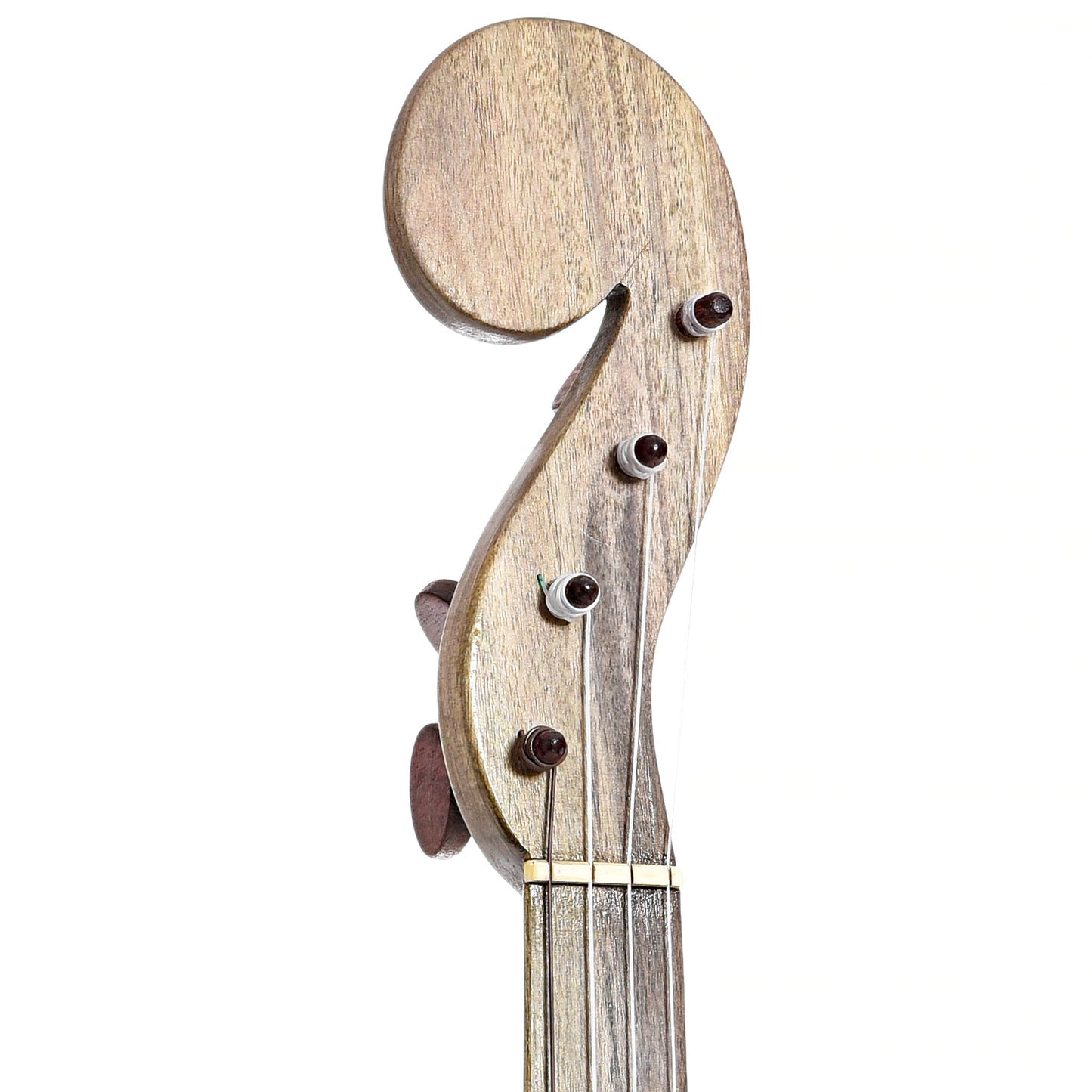 Front headstock of Menzies Fretless Gourd Banjo #577