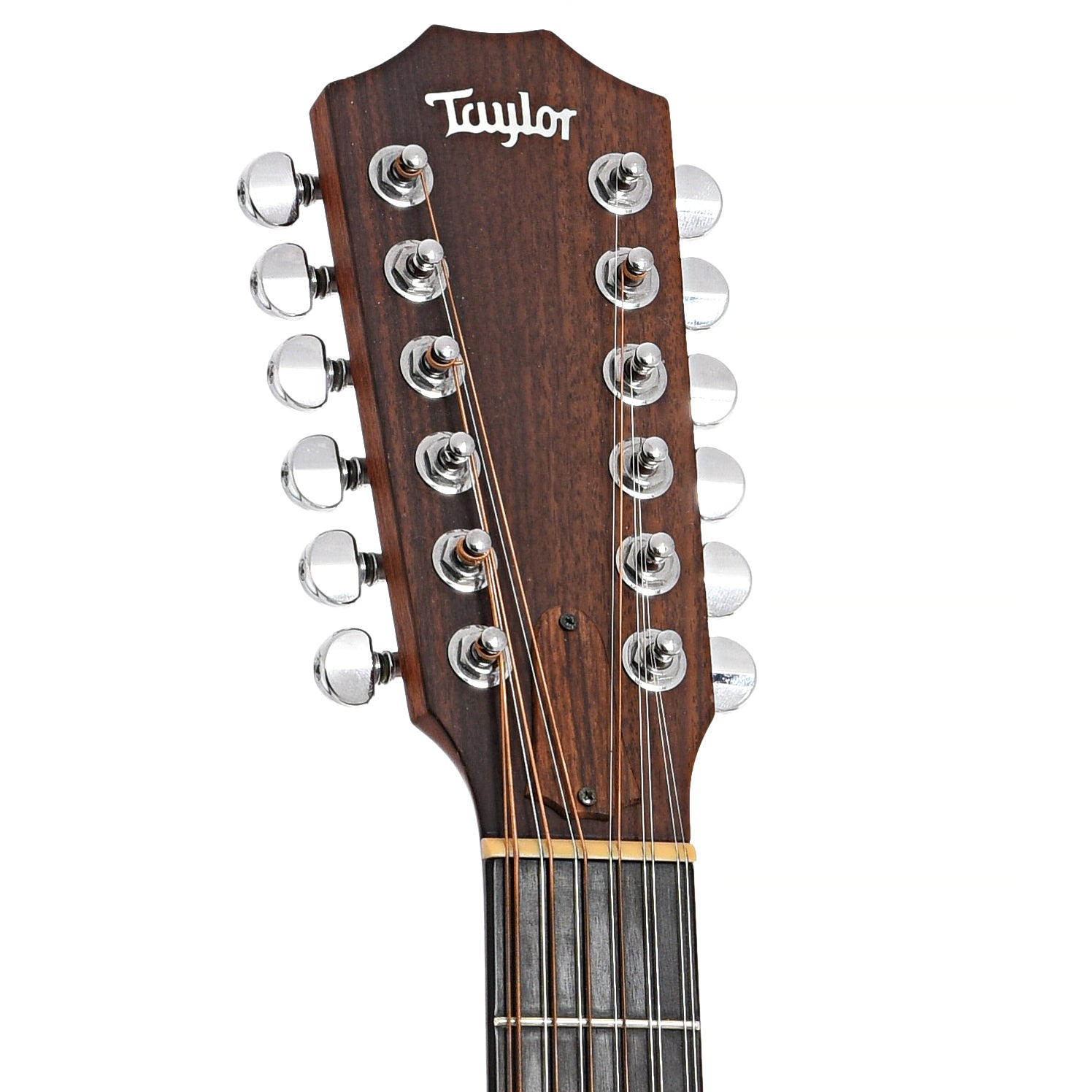 Front headstock of Taylor 555 12-String Acoustic Guitar (1993)