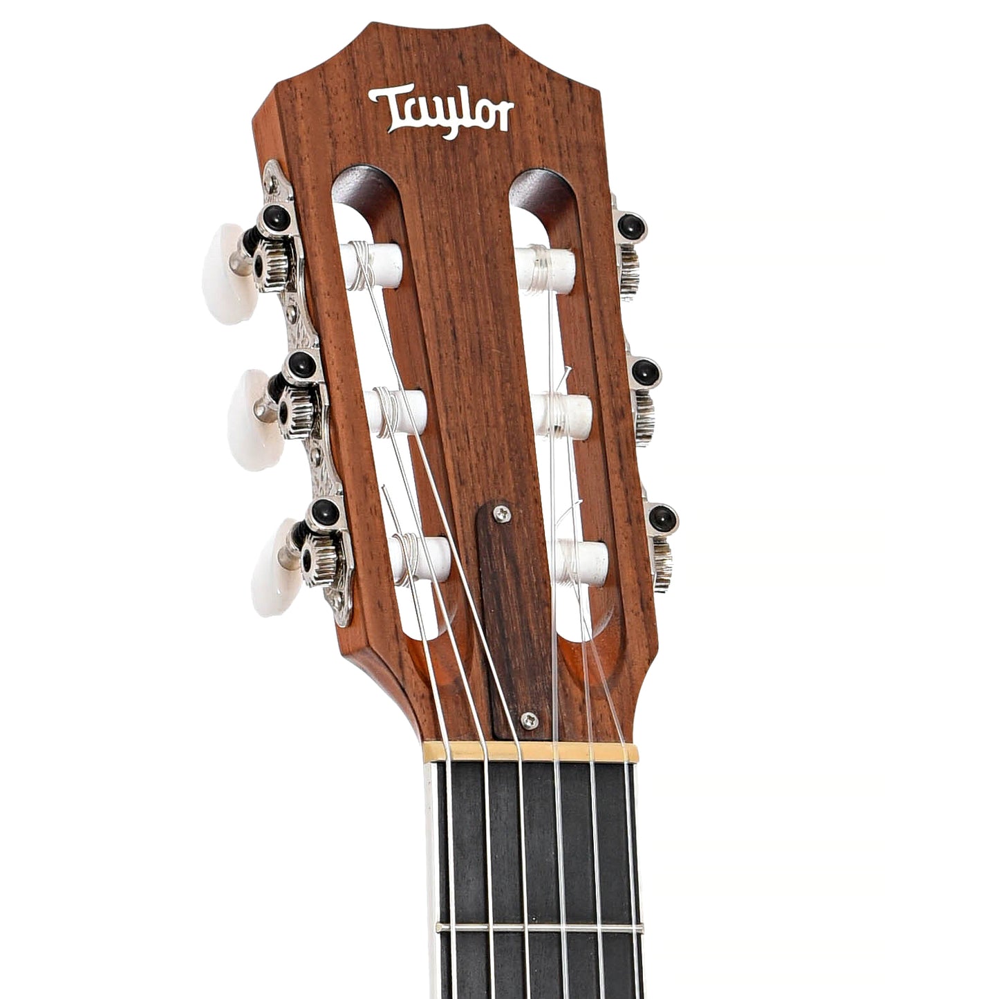 Front headstock of Taylor 412ce-N Nylon String Acoustic Guitar (2015)