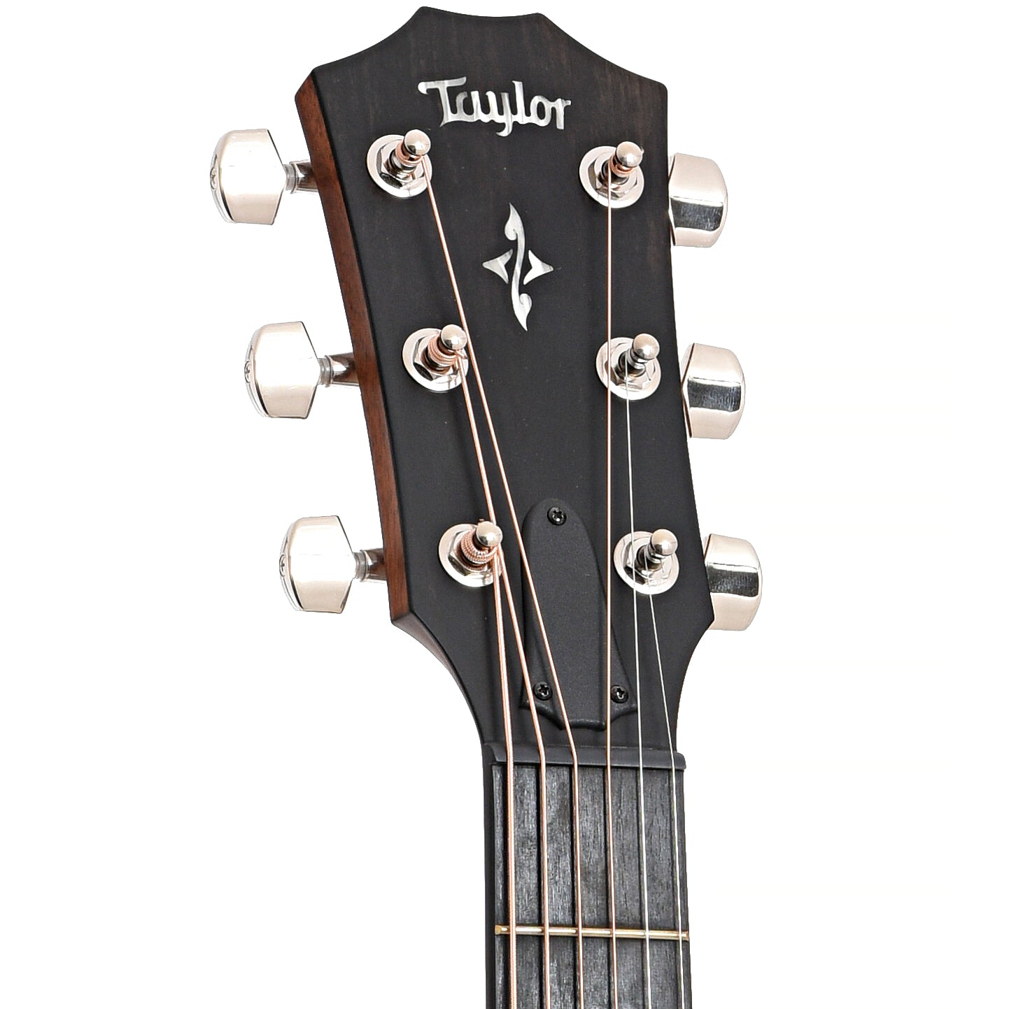 Front headstock of Taylor 414ce-R Acoustic Guitar, Tobacco Sunburst
