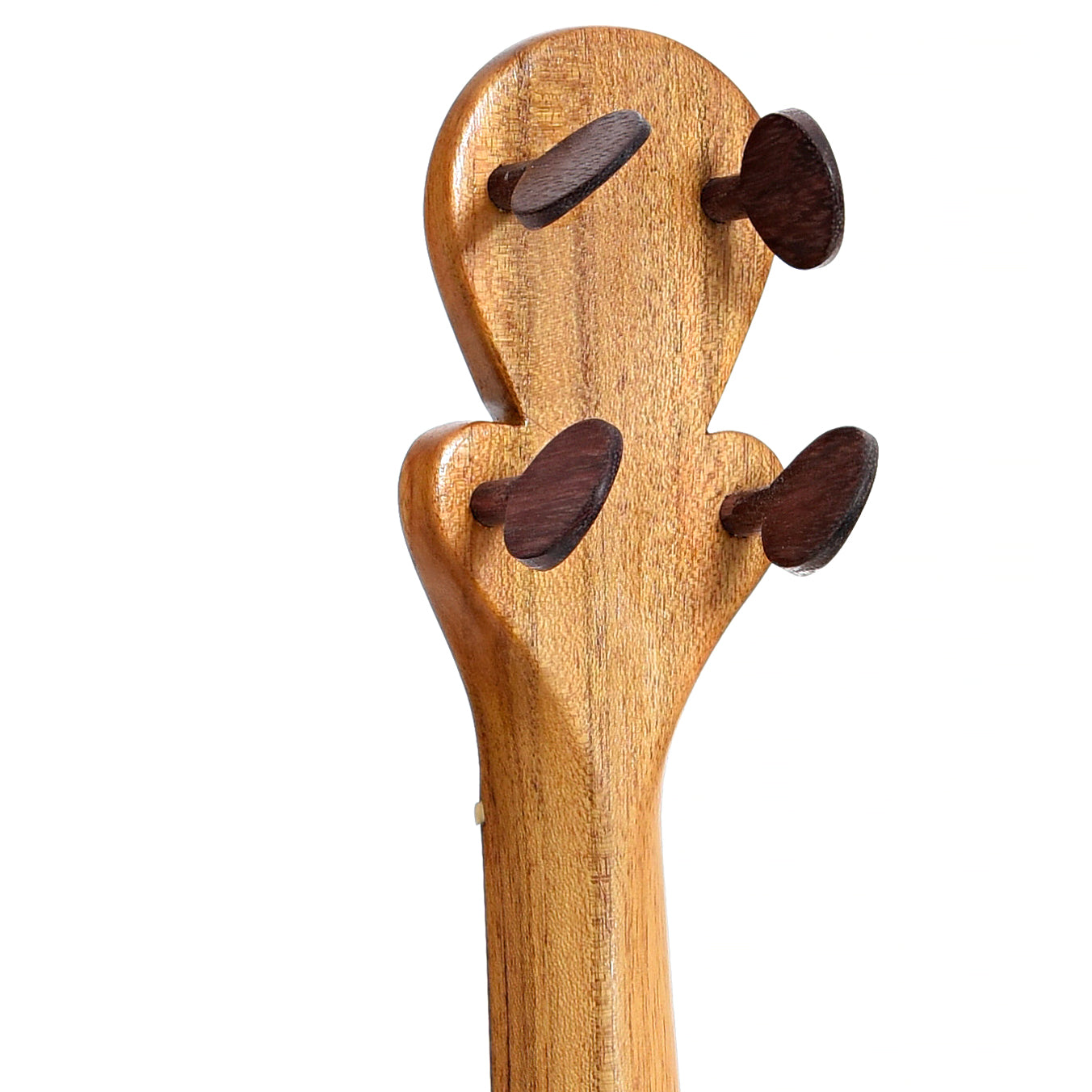 Back headstock of Menzies Fretless Gourd Banjo #579