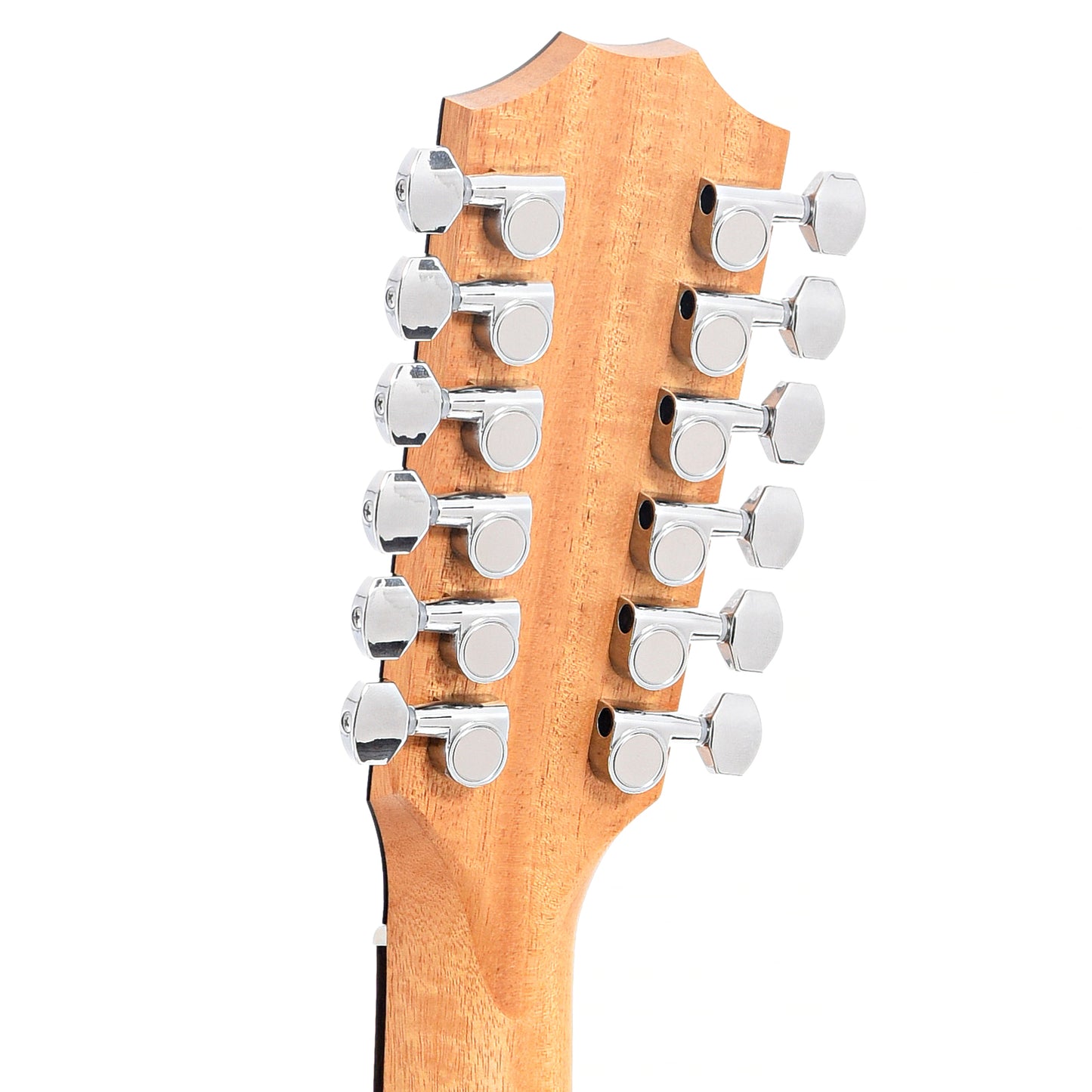 Back headstock of Taylor 150ce 12-String Acoustic Guitar 