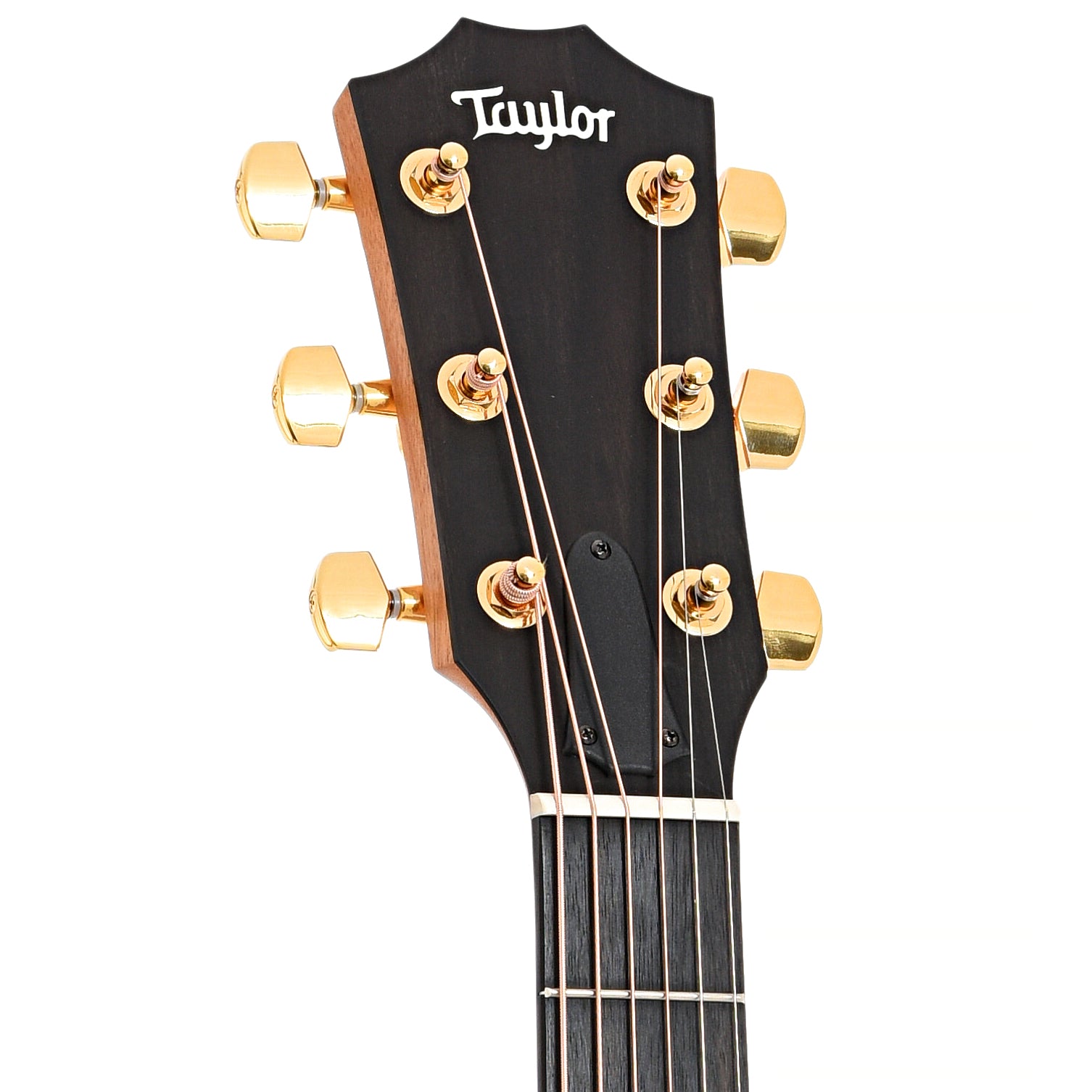 Front headstock of Taylor 224ce-K Deluxe Acoustic 