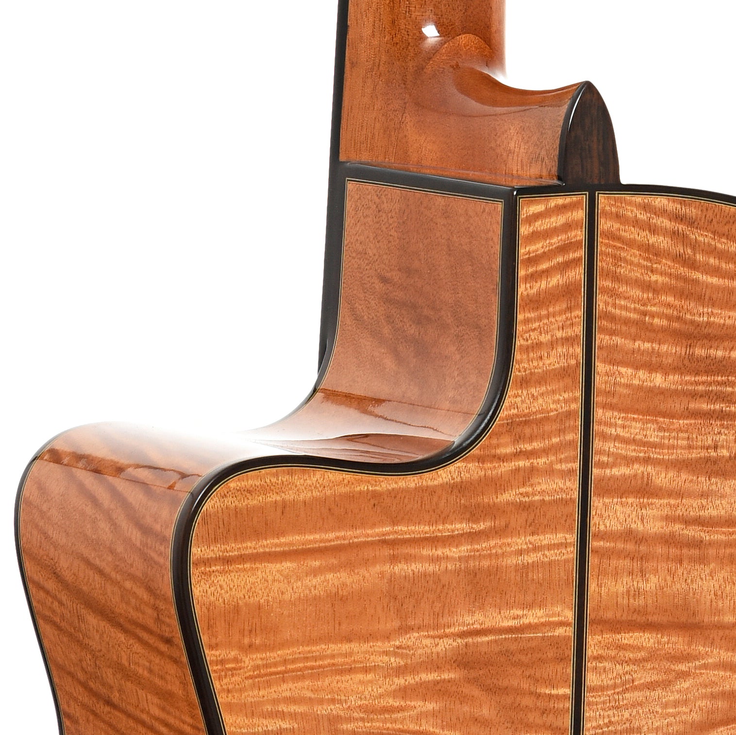 Heel of Cordoba Fusion 14 Maple Nylon String Acoustic-Electric Guitar (2021)