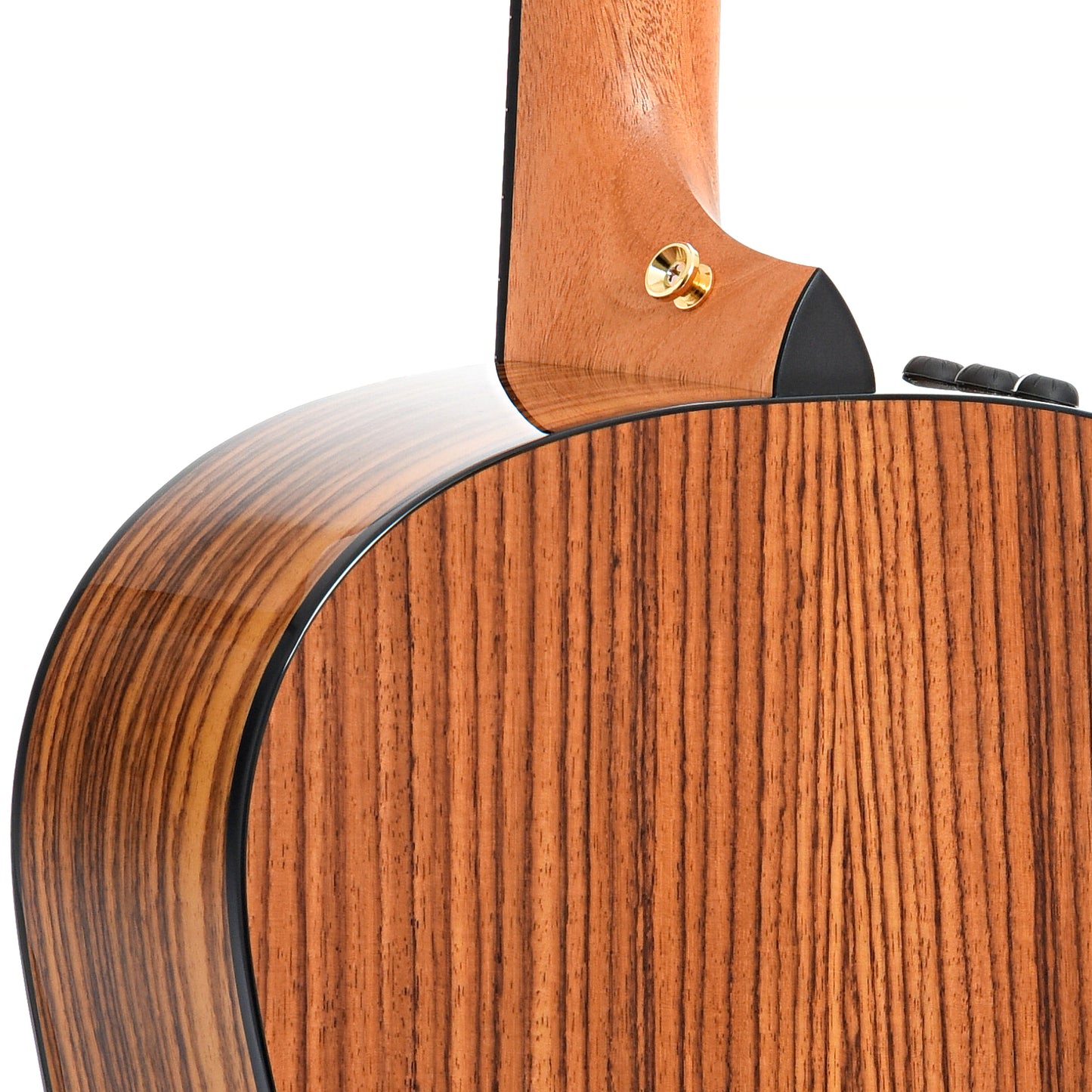 Heel of Taylor 50th Anniversary 217e-SB Plus LTD Acoustic Guitar 