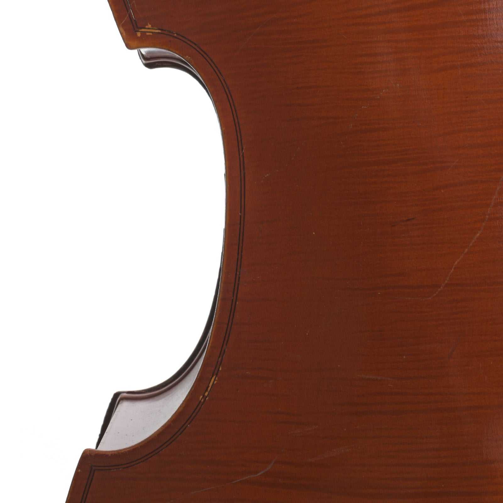 BAck waist of Ernst Heinrich Roth 3/4 Upright Bass (1966)