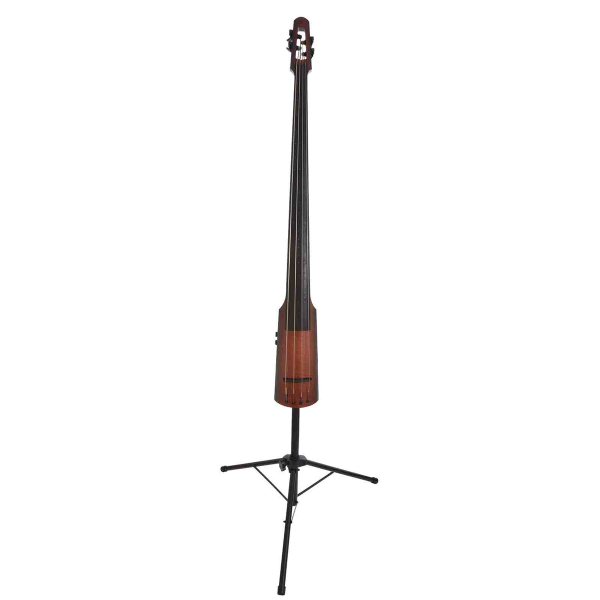 Full front of NS Design NXT Upright Fretless Electric Bass