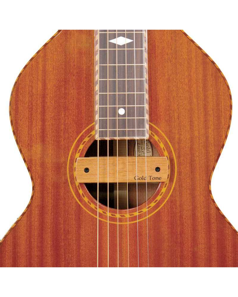 Image 1 of Gold Tone Weissenborn Pickup - SKU# GTWBM : Product Type Pickups : Elderly Instruments