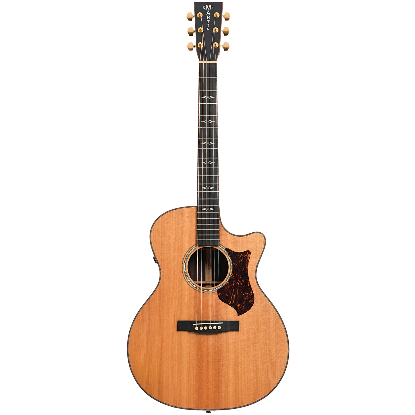 Full front of Martin GPCPA1 Performing Artist