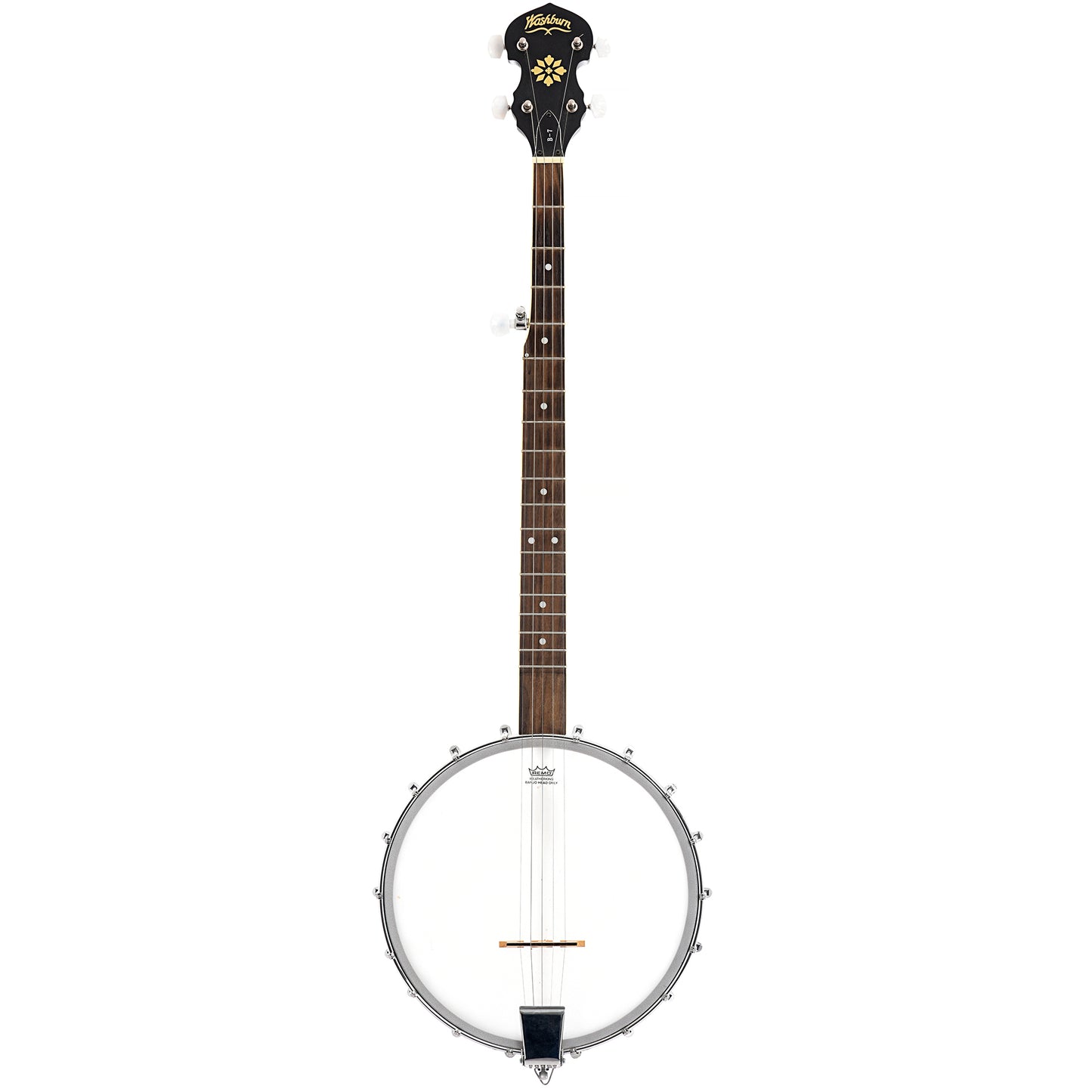 Full Front of Washburn B-7 Open Back Banjo