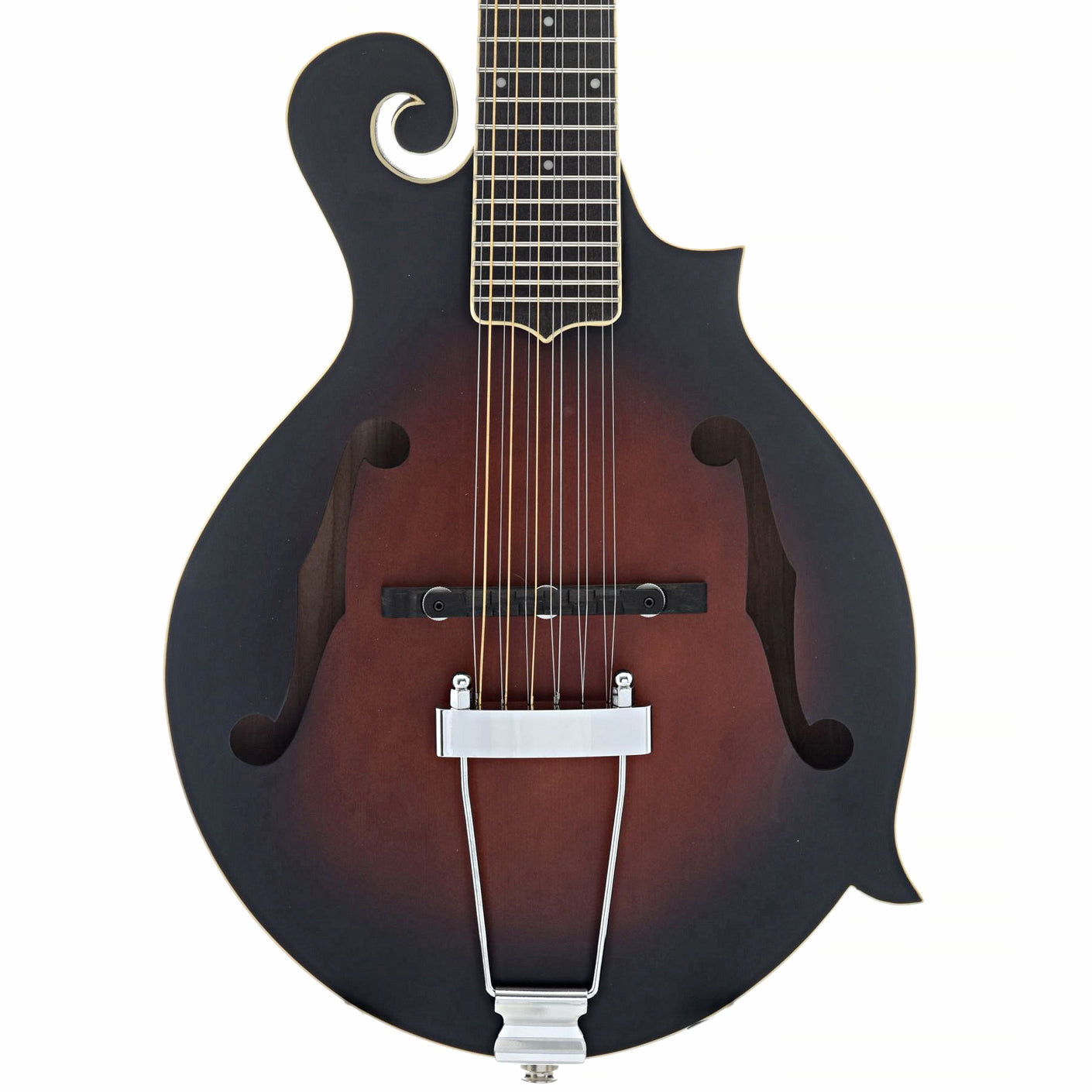 front of Gold Tone F-12 12-String Manditar