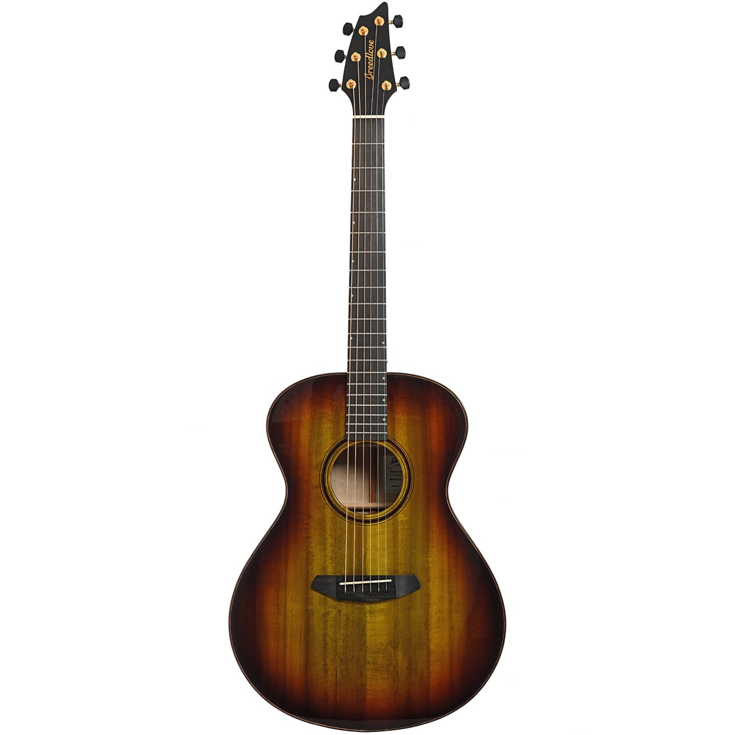 Full front of Breedlove Oregon Concert Earthsong Myrtlewood