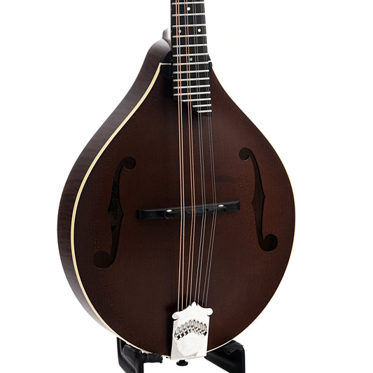 Image 1 of Collings MT A-Model, Sheraton Brown with Ivoroid Binding & Case- SKU# CMTA-BI : Product Type Mandolins : Elderly Instruments