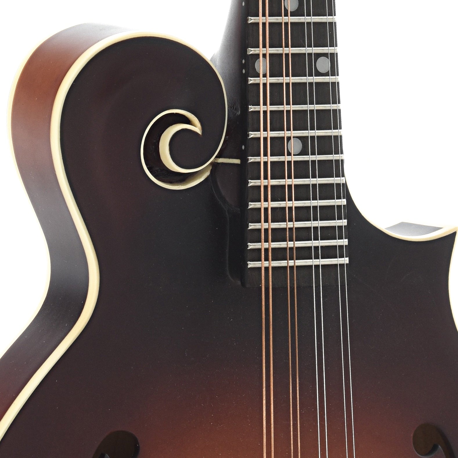 Front Neck Joint of The Loar "Honey Creek" F-Style Mandolin